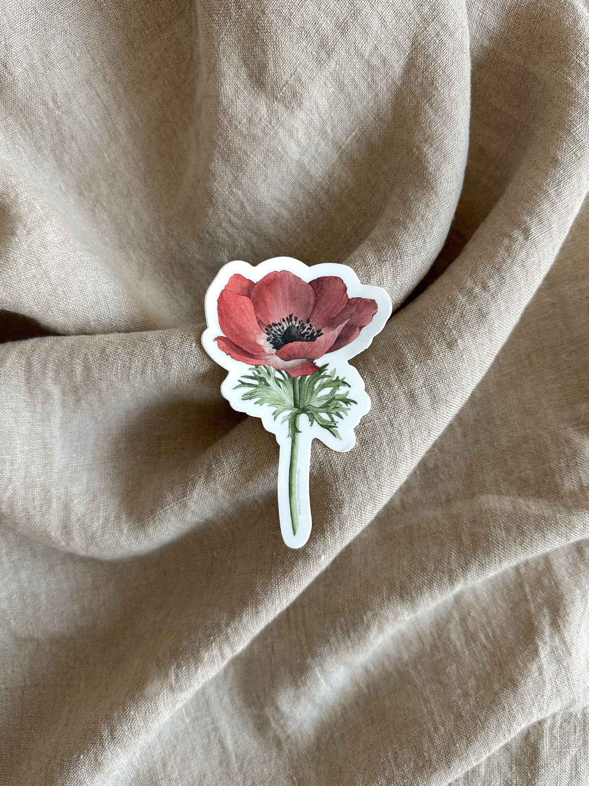Anemone 'Carmel Red' Sticker