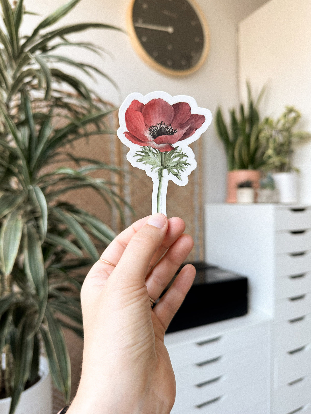 Anemone 'Carmel Red' Sticker