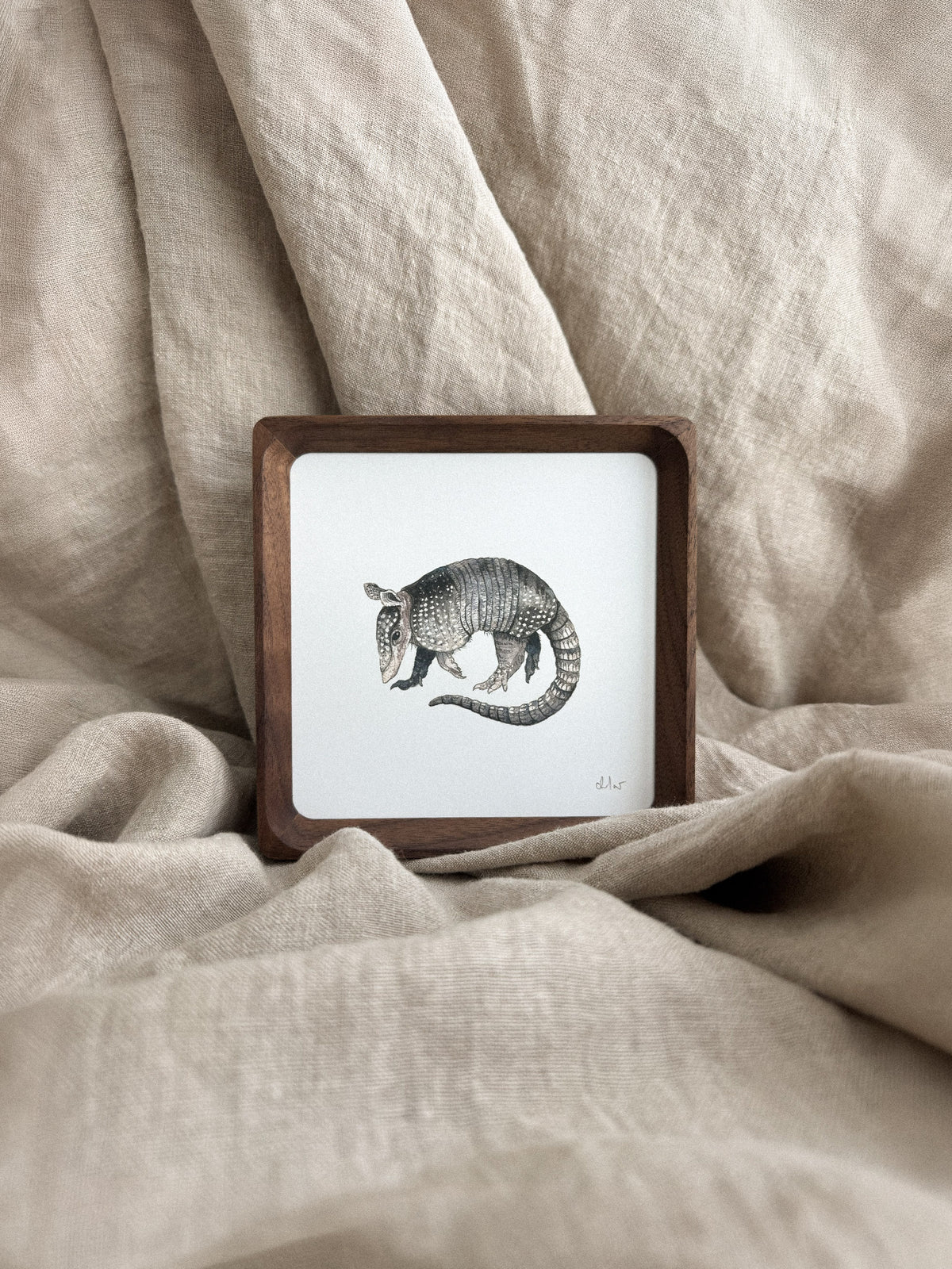 Armadillo Mini Print 5x5