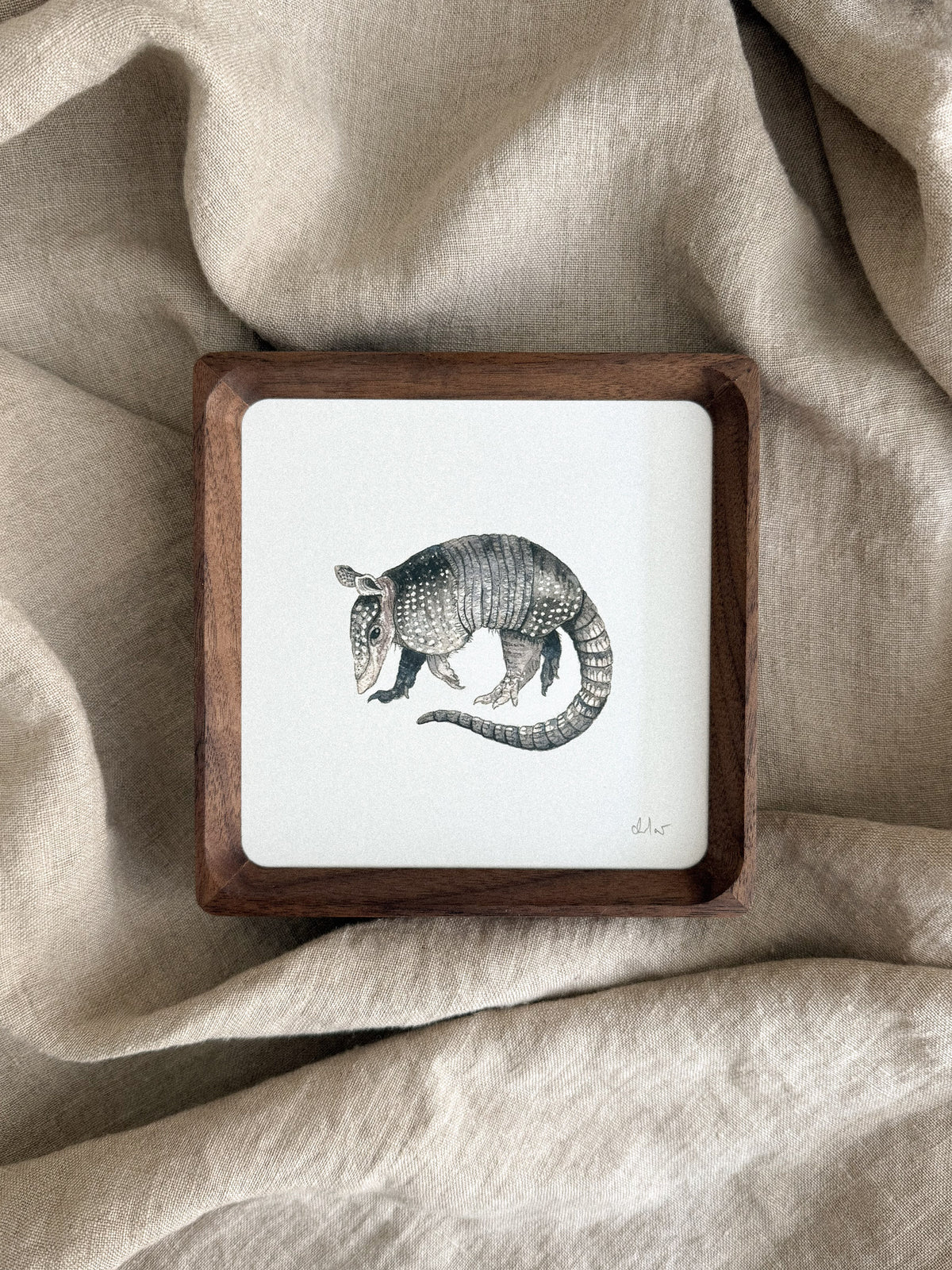 Armadillo Mini Print 5x5
