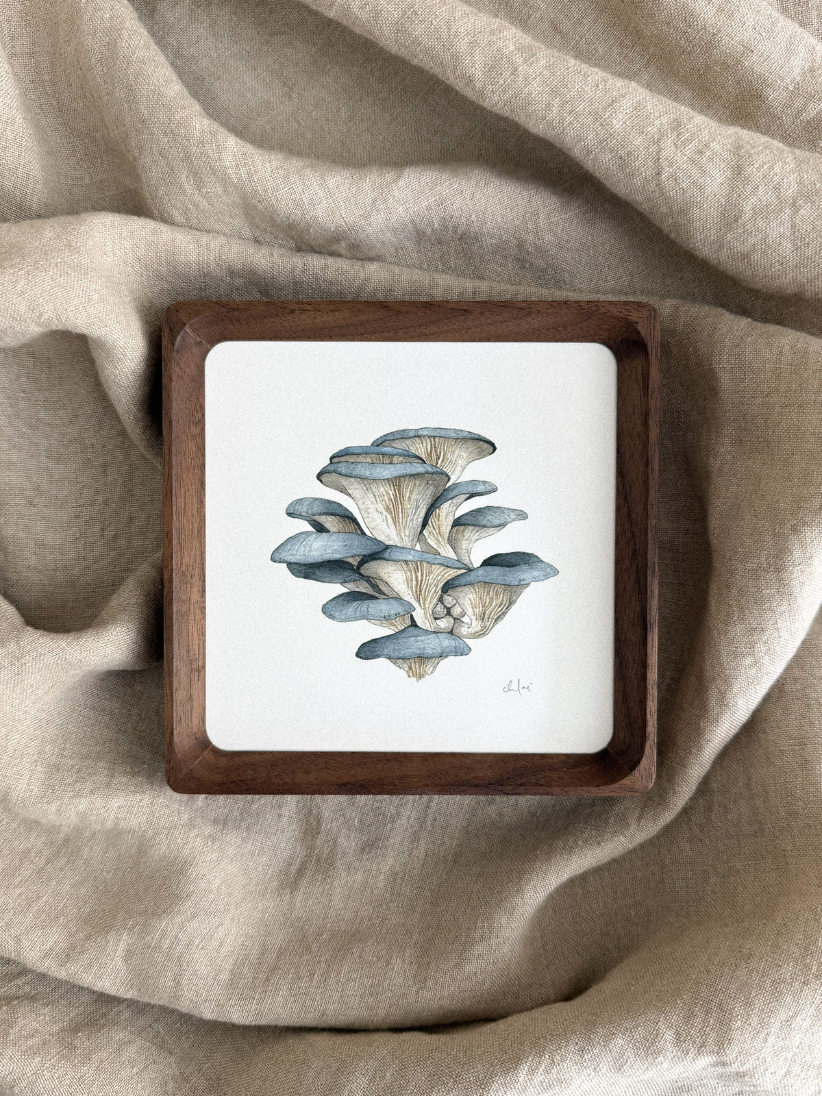 Blue Oyster Mushrooms Mini Print 5x5