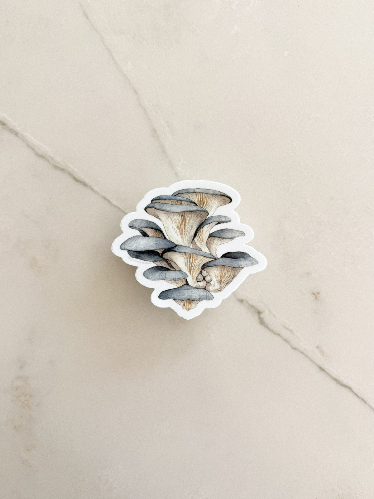 Blue Oyster Mushrooms Sticker