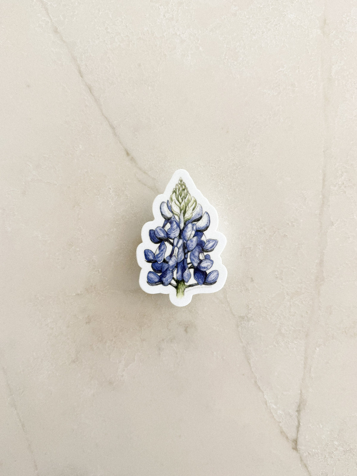Bluebonnet Sticker