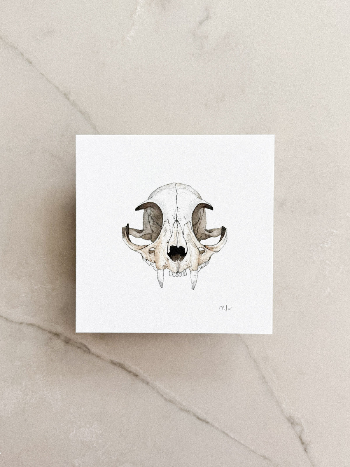 Cat Skull Mini Print 5x5
