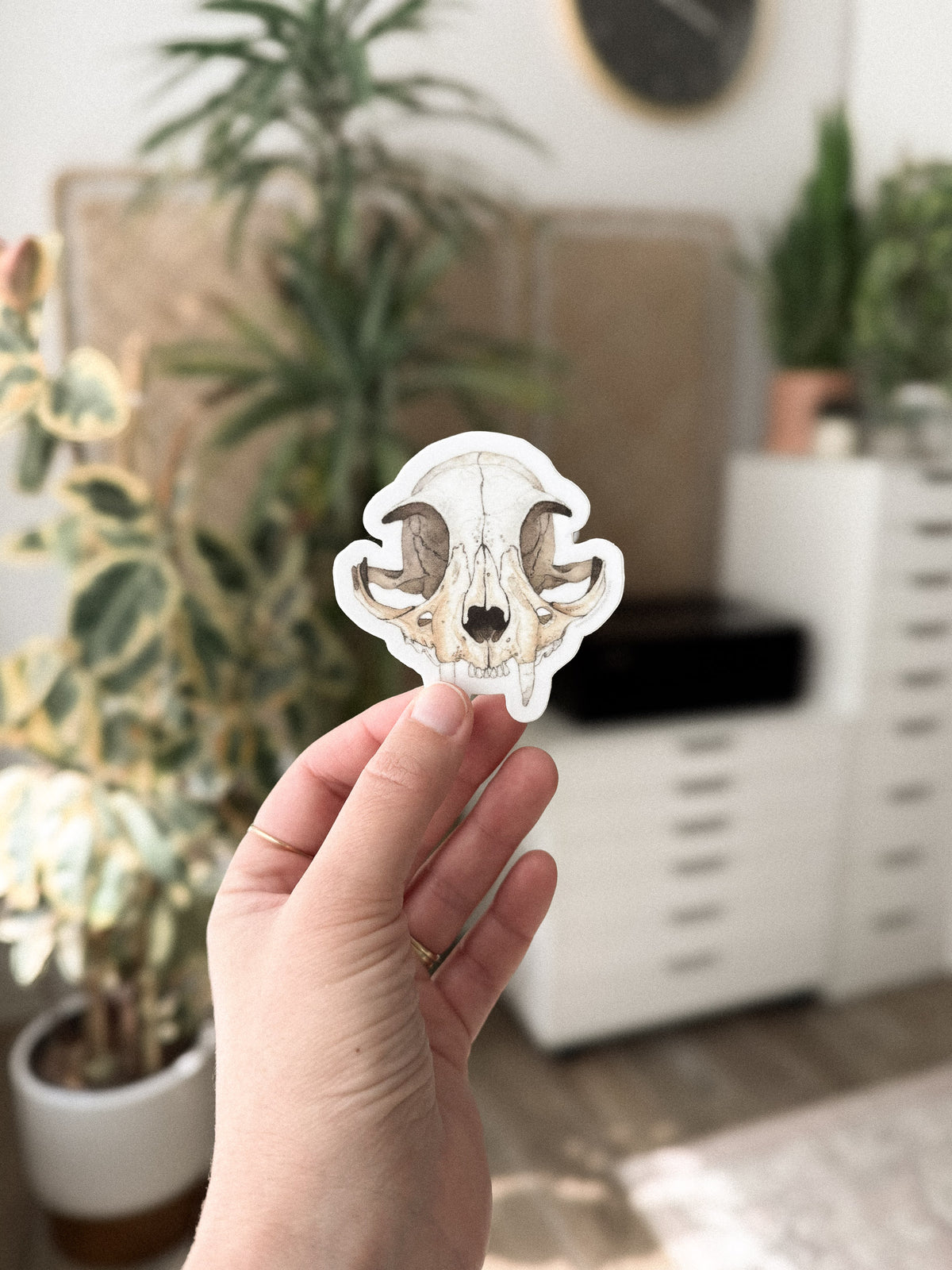 Cat Skull Sticker
