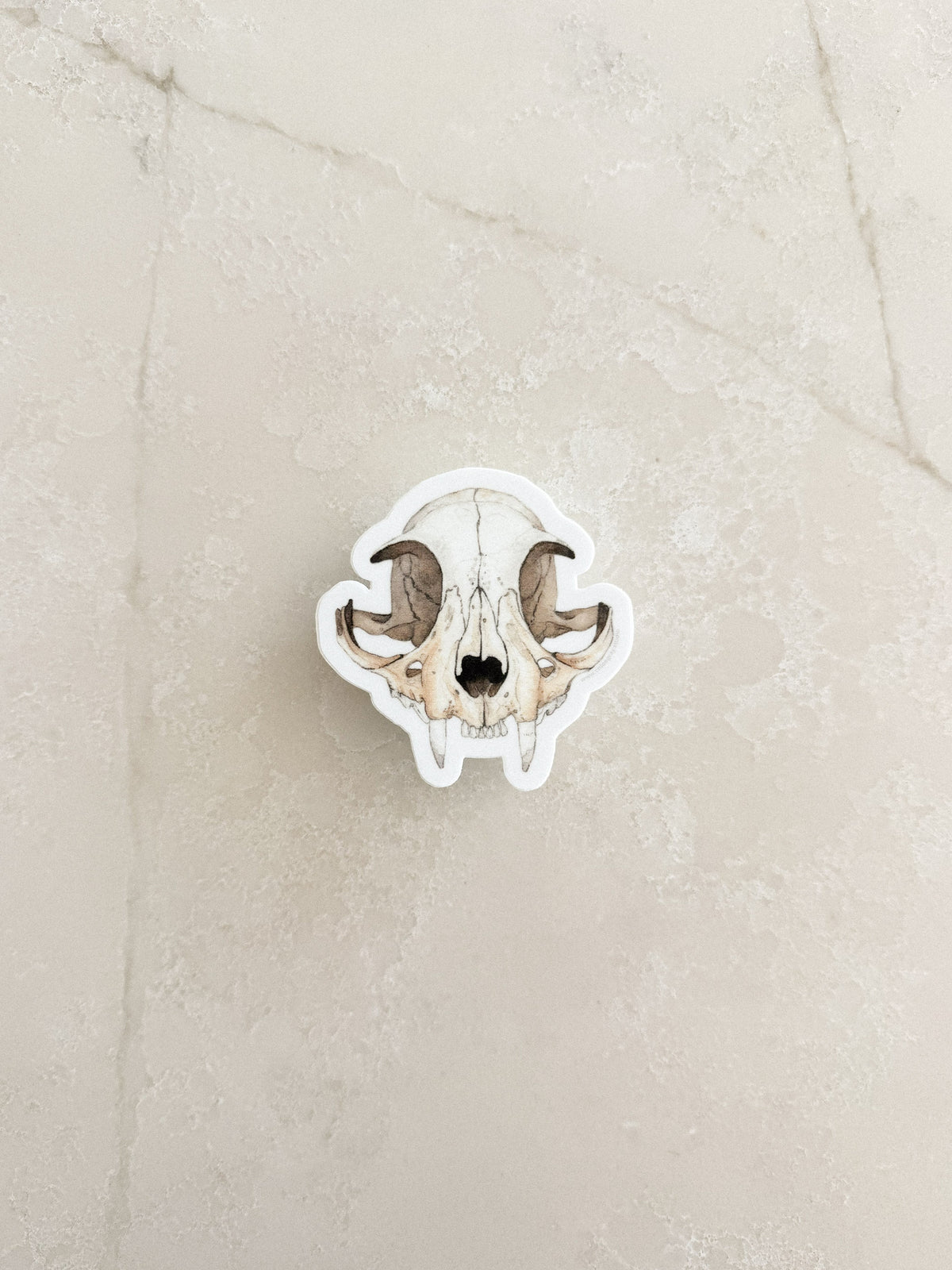 Cat Skull Sticker