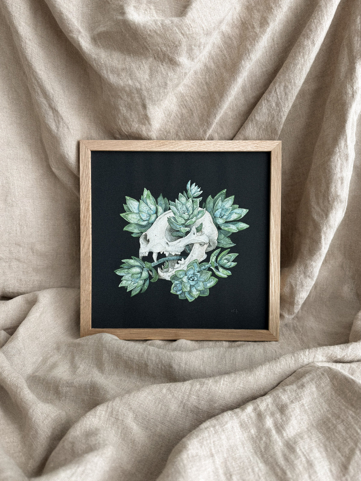 Cat Skull with Succulents Print 10x10