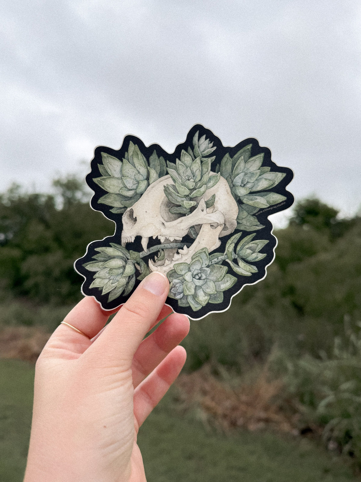 Cat Skull with Succulents Sticker (Large)
