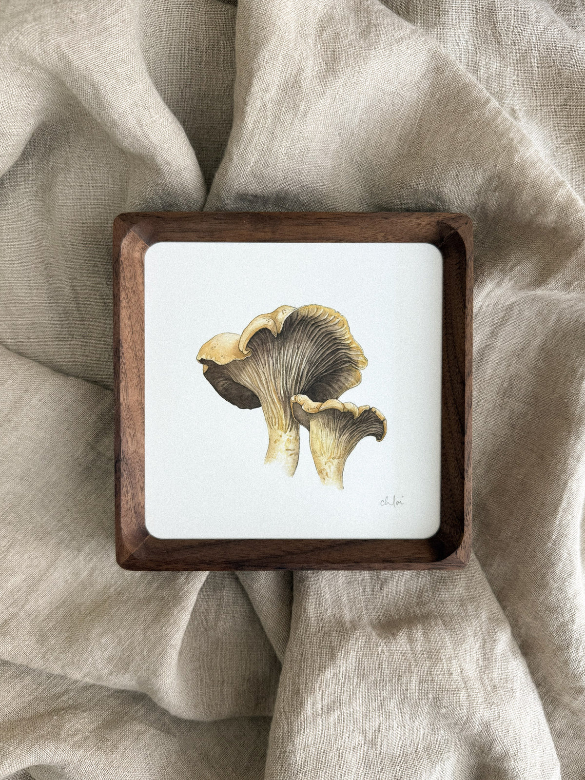 Chanterelle Mushrooms Mini Print 5x5