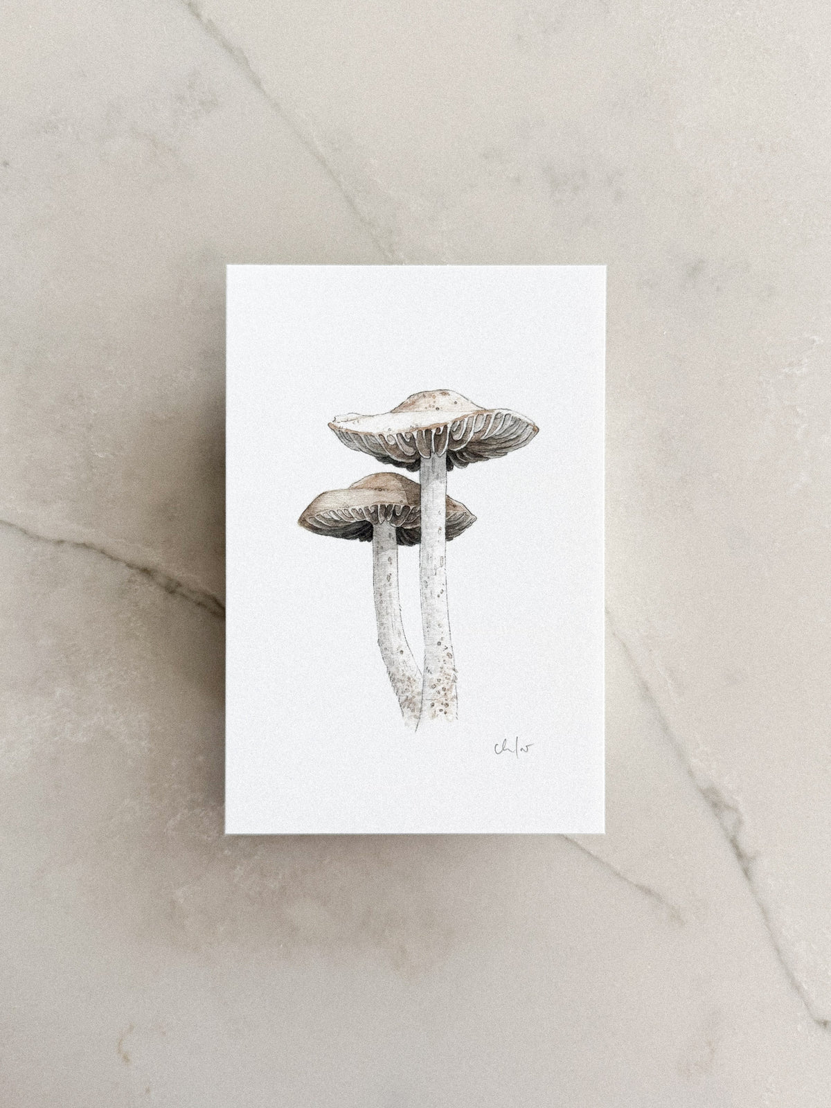 Fairy Ring Mushrooms Mini Print 4x6