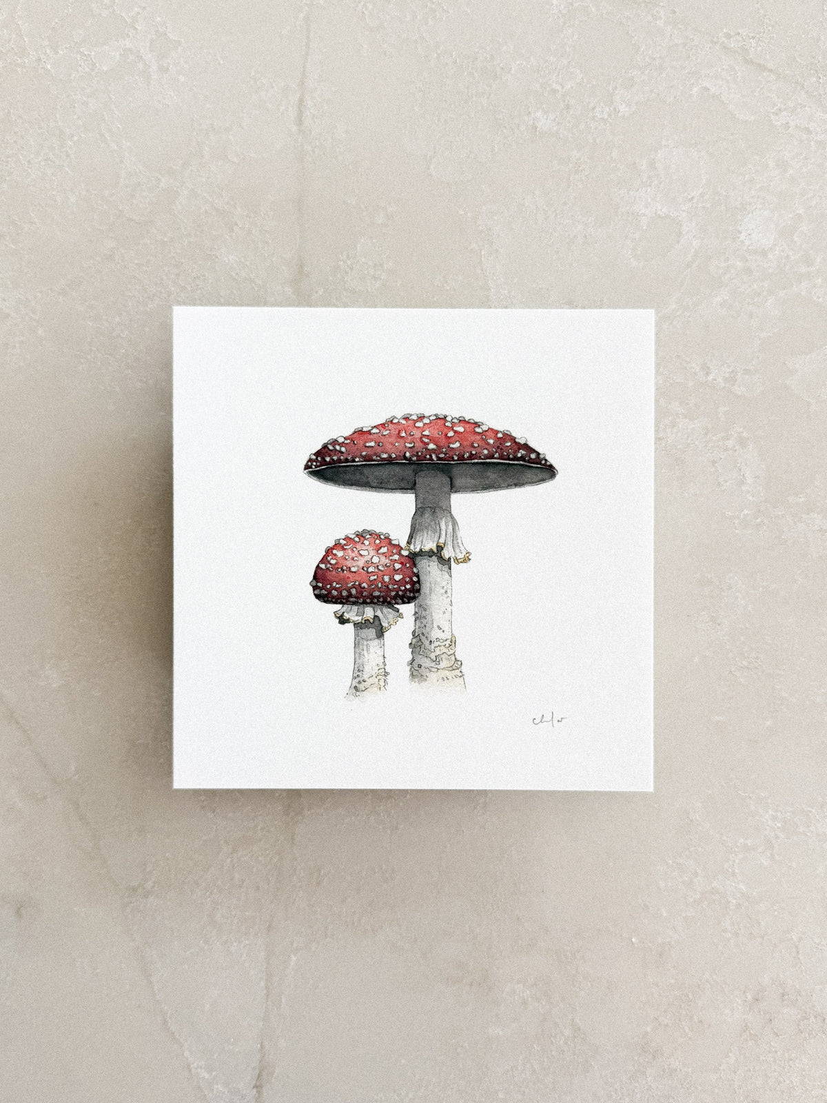 Fly Agaric Mushrooms Mini Print 5x5