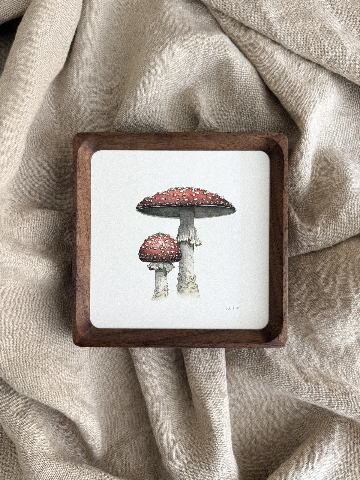 Fly Agaric Mushrooms Mini Print 5x5