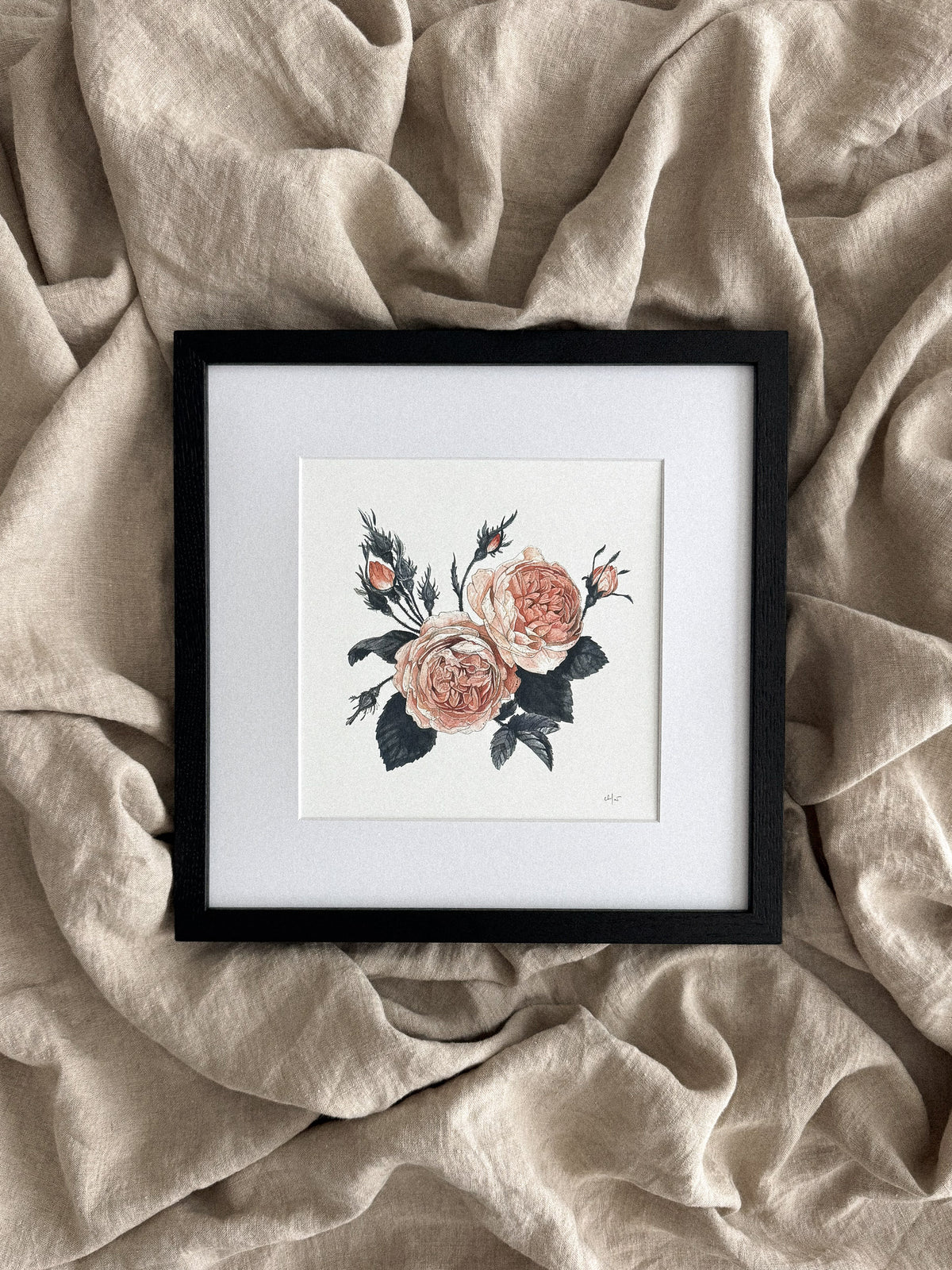 Garden Rose Print 8x8