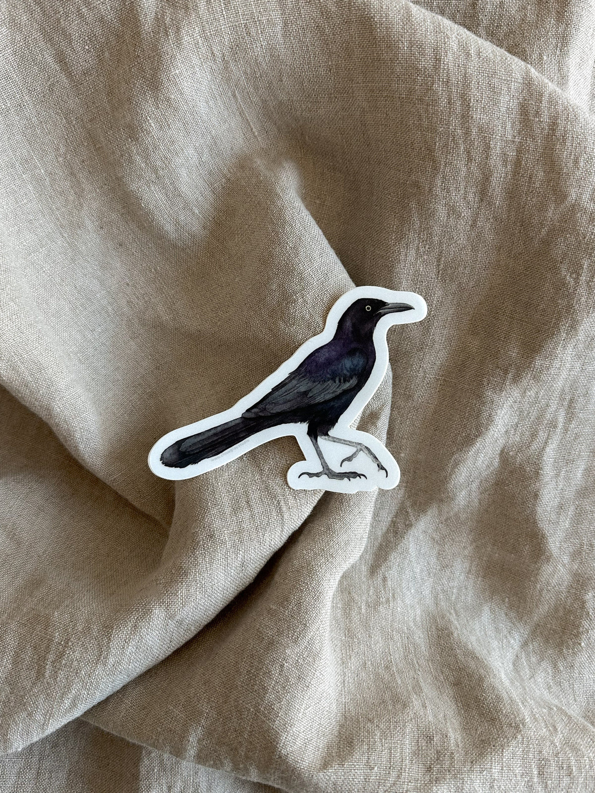 Grackle Sticker