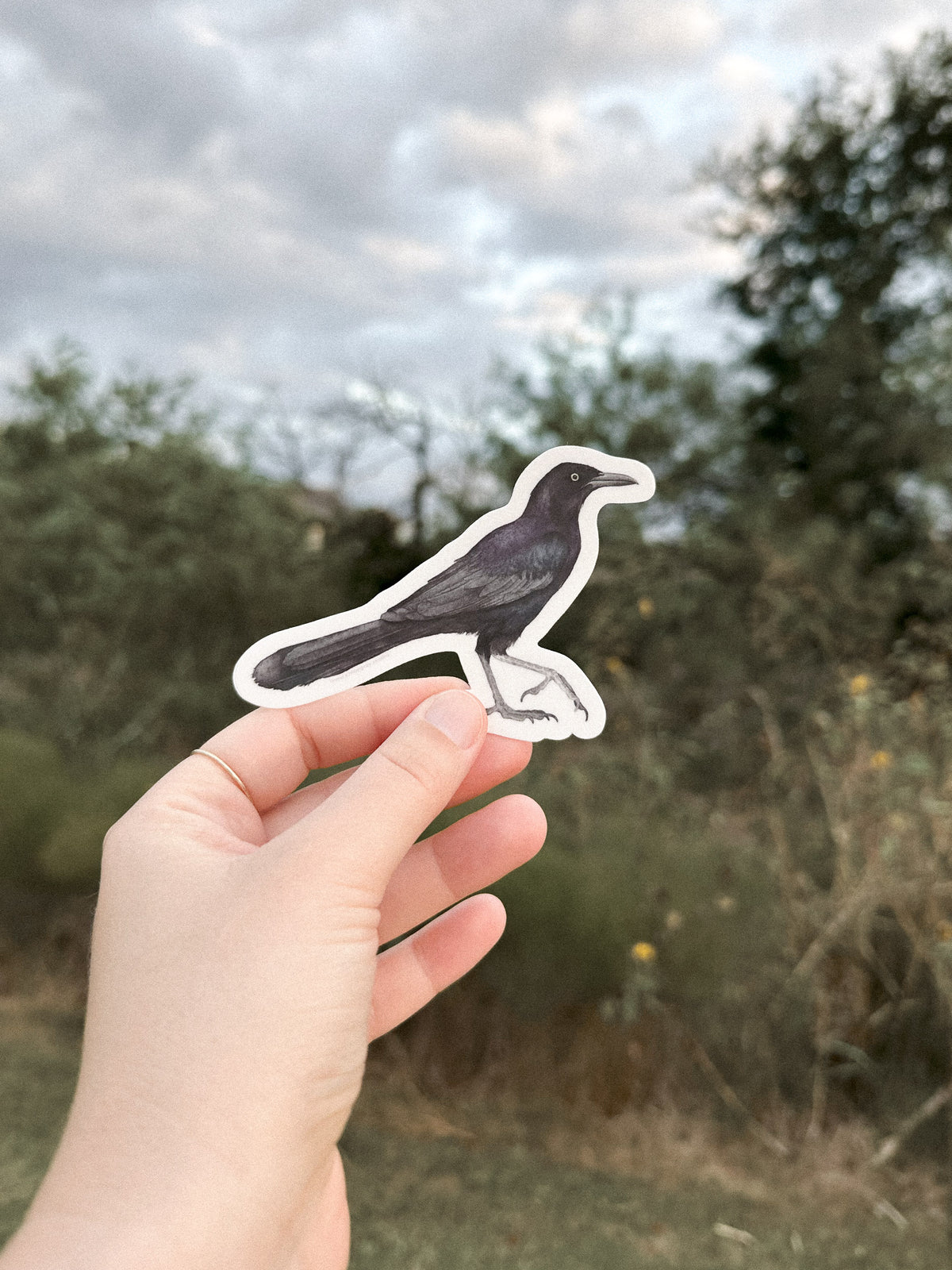 Grackle Sticker