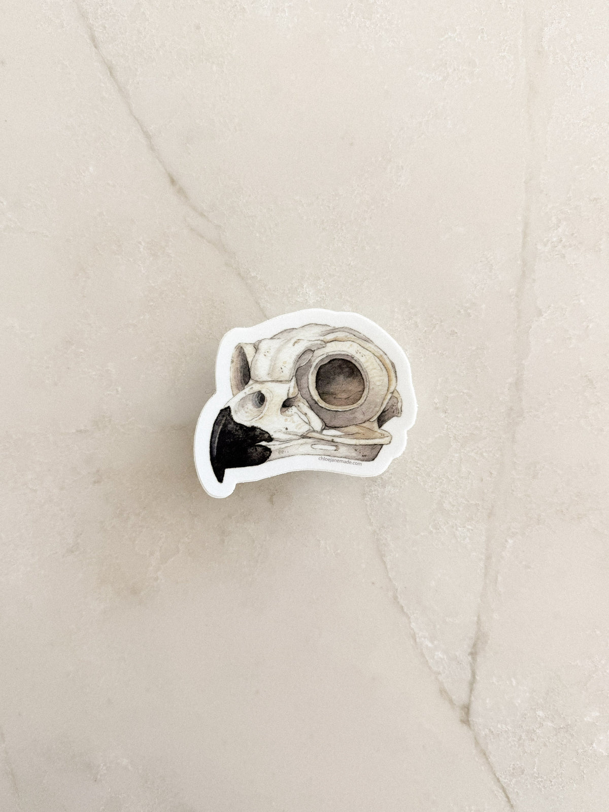 Great Horned Owl Skull Sticker