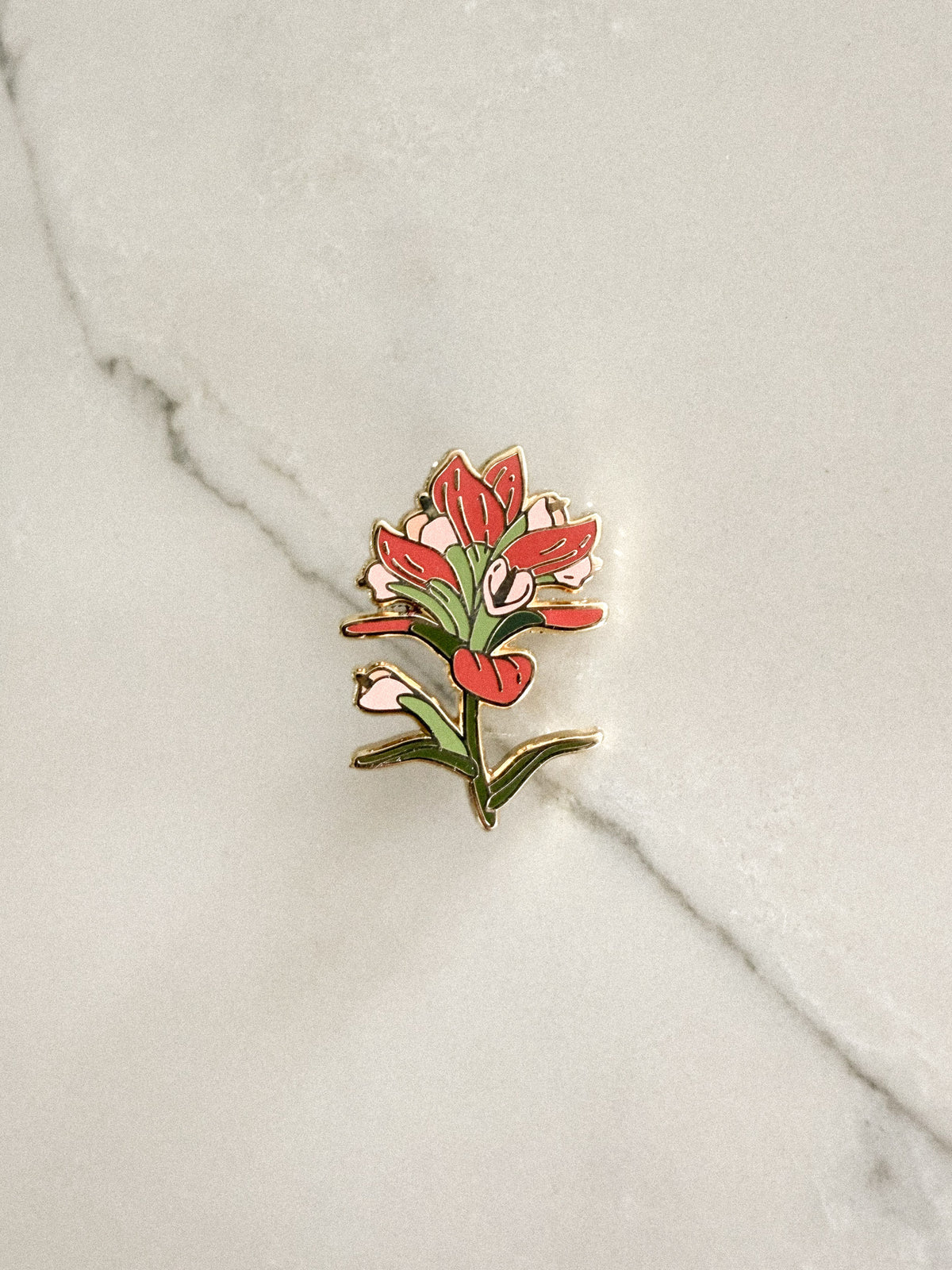 Indian Paintbrush Enamel Pin (Gold)
