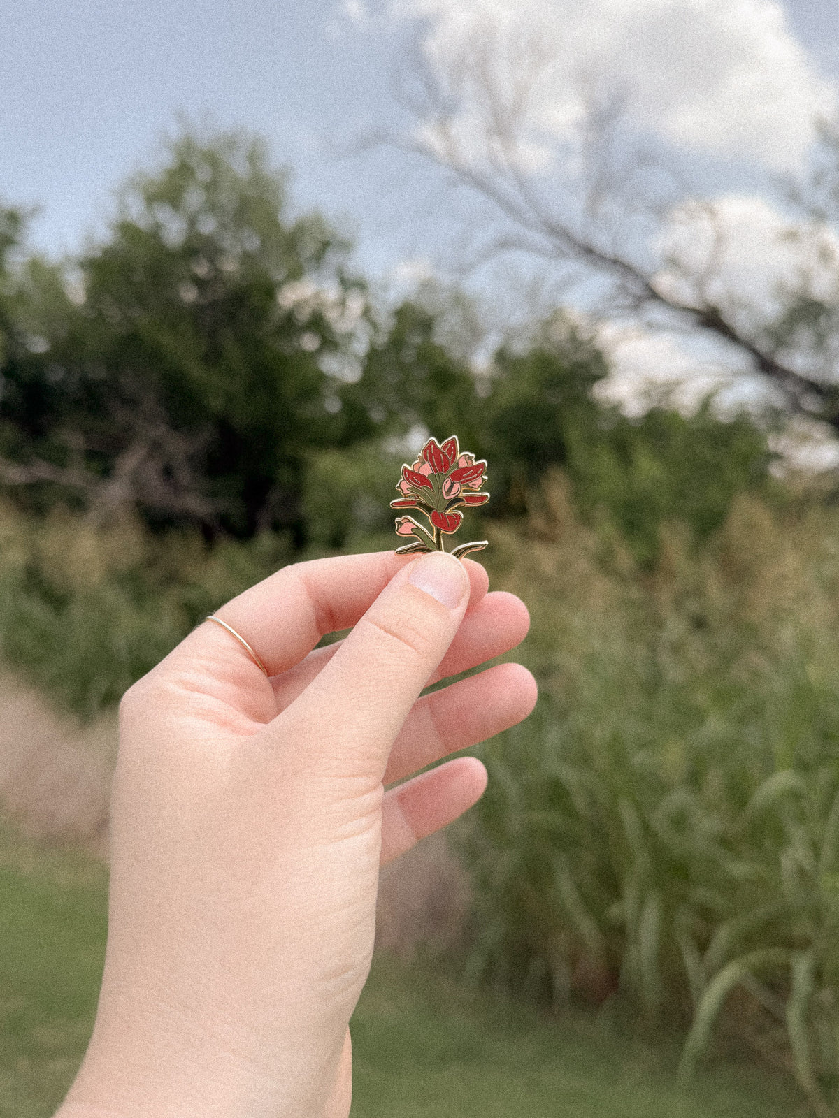 Indian Paintbrush Enamel Pin (Gold)