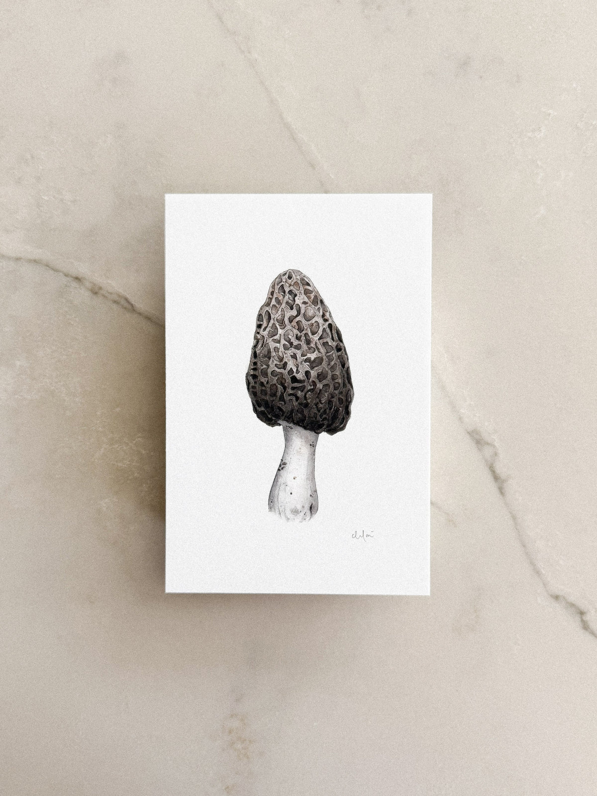 Morel Mushroom Mini Print 4x6