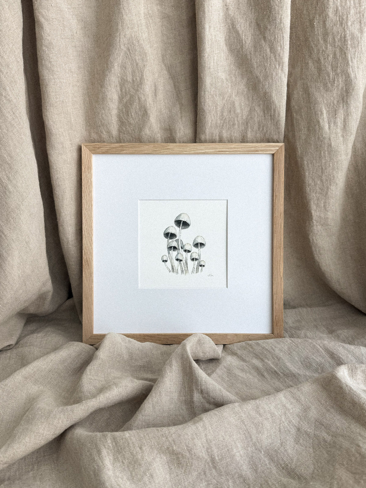 Mycena Mushrooms Mini Print 5x5