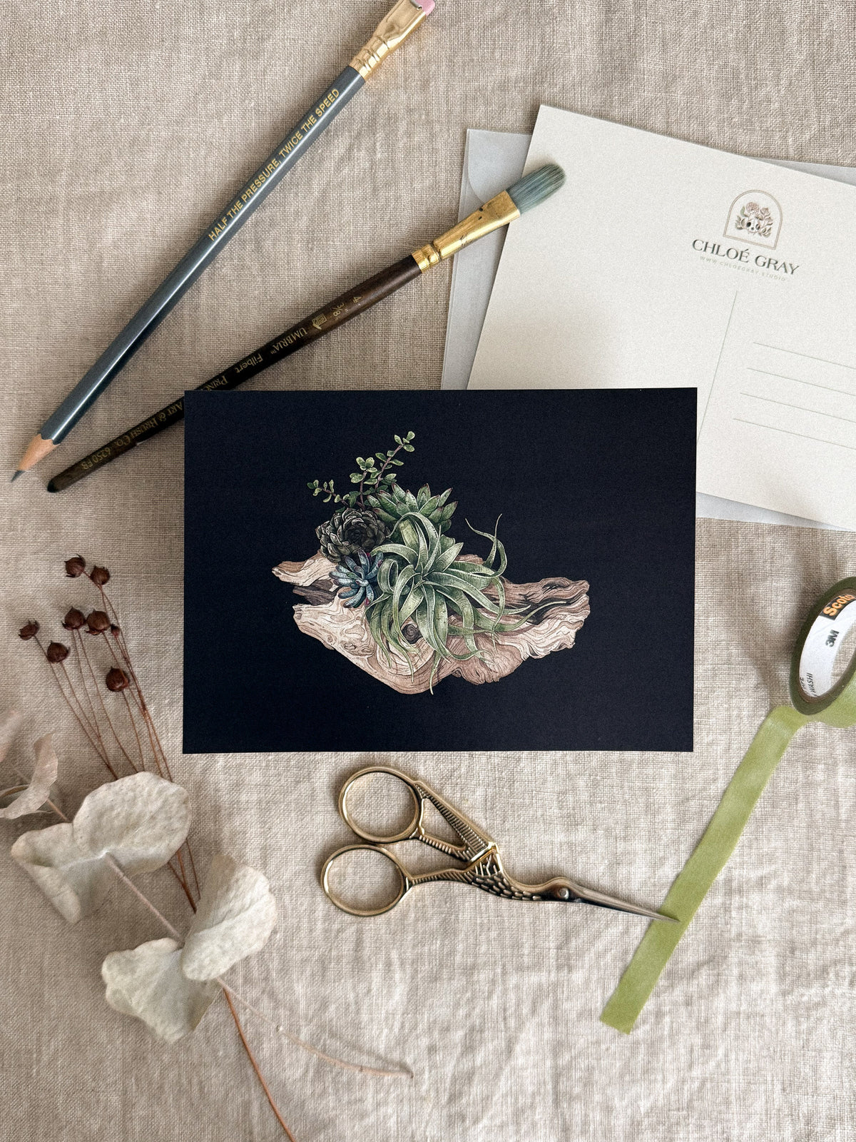 Nature Pact Postcard