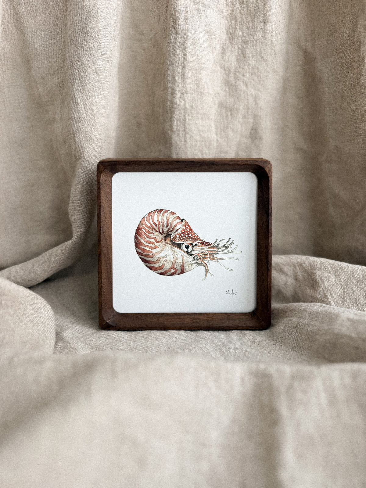 Nautilus Mini Print 5x5