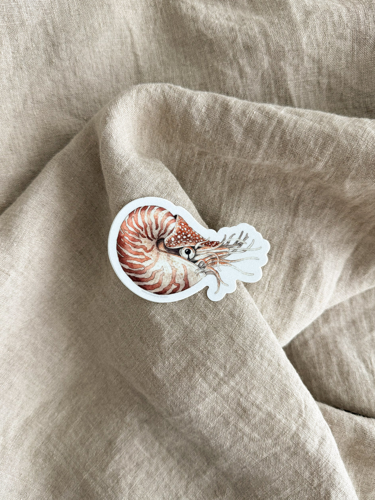 Nautilus Sticker