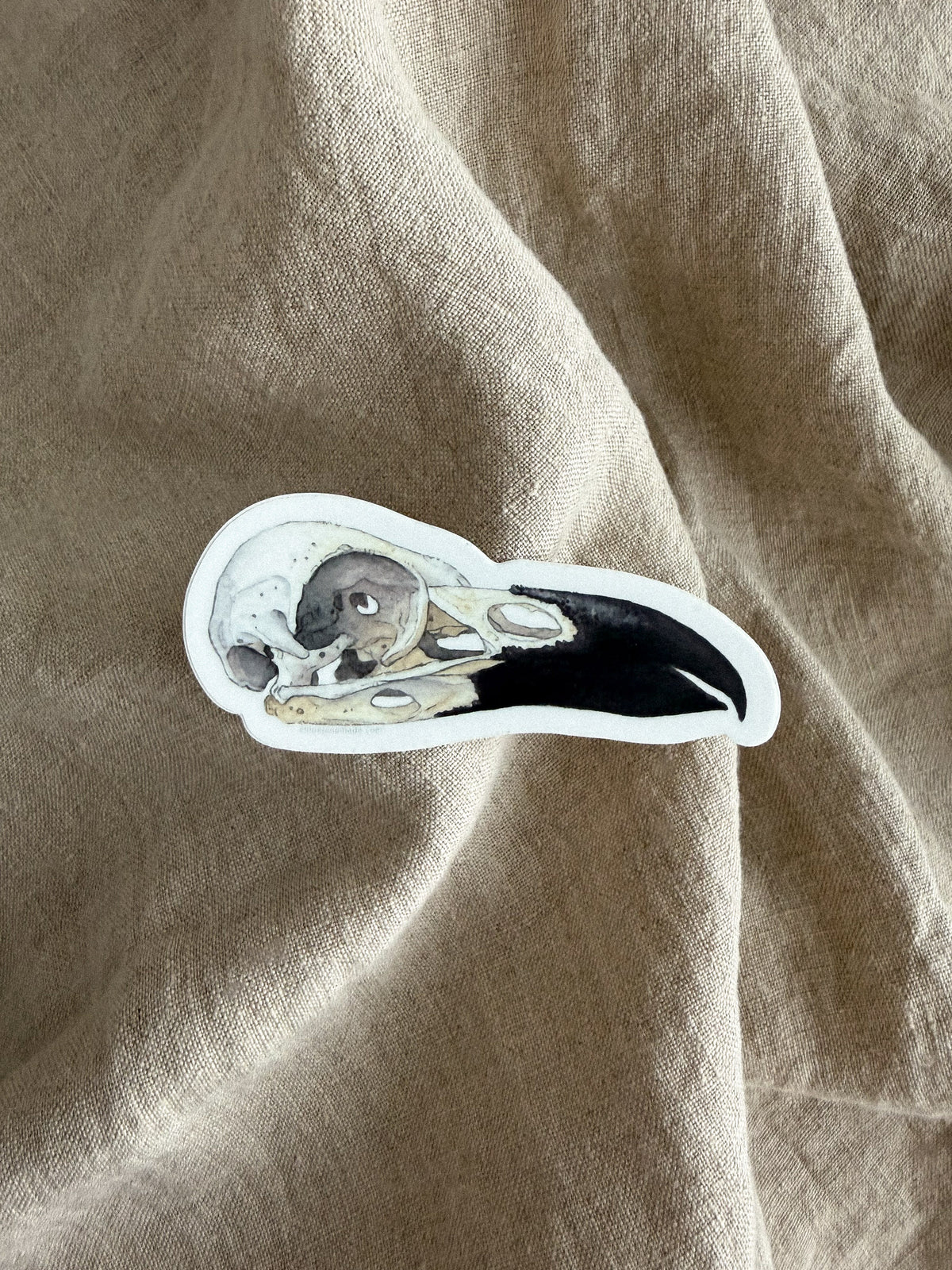 Raven Skull Sticker
