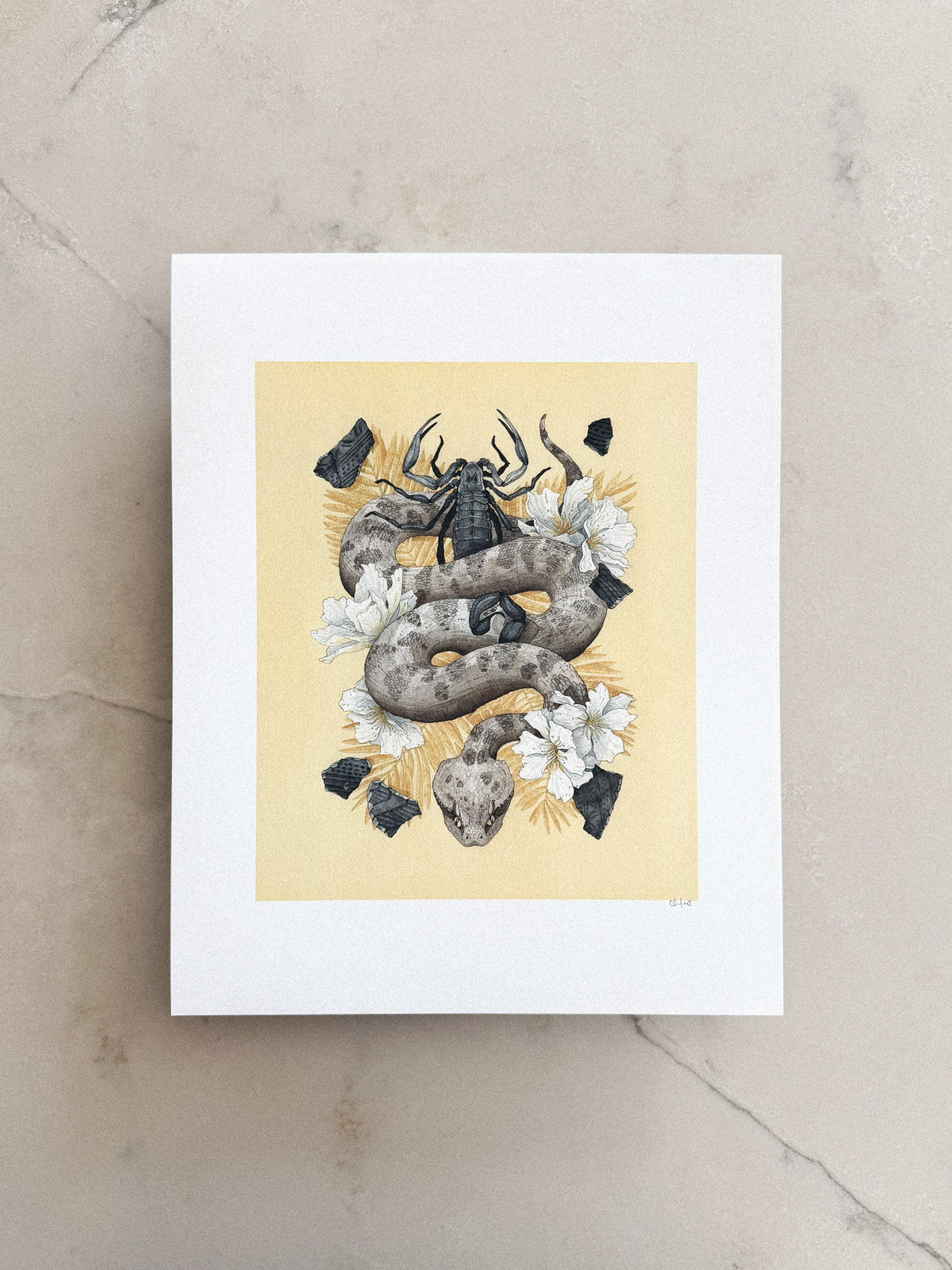 Ruin Print 11x14