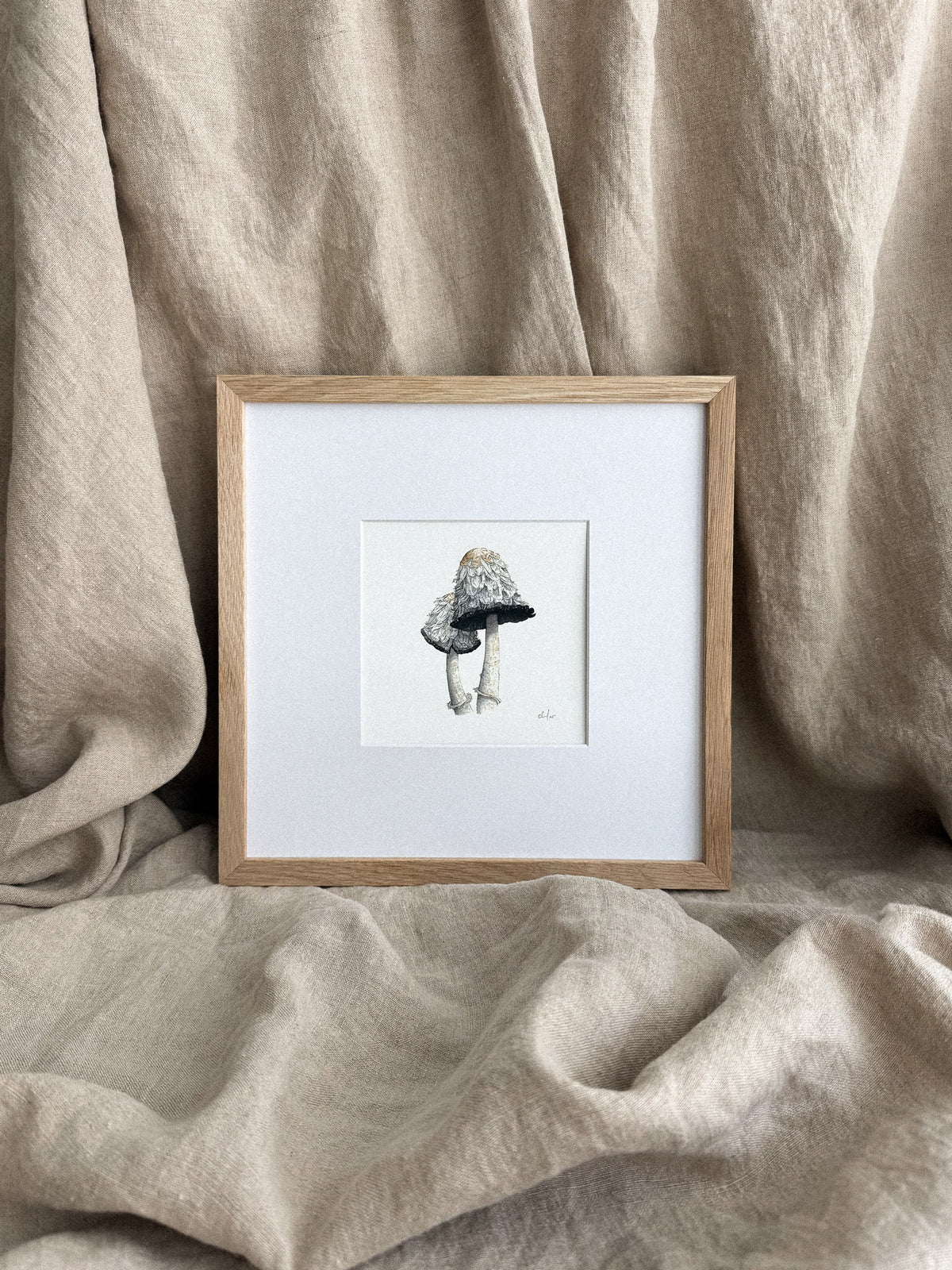 Shaggy Mane Mushrooms Mini Print 5x5