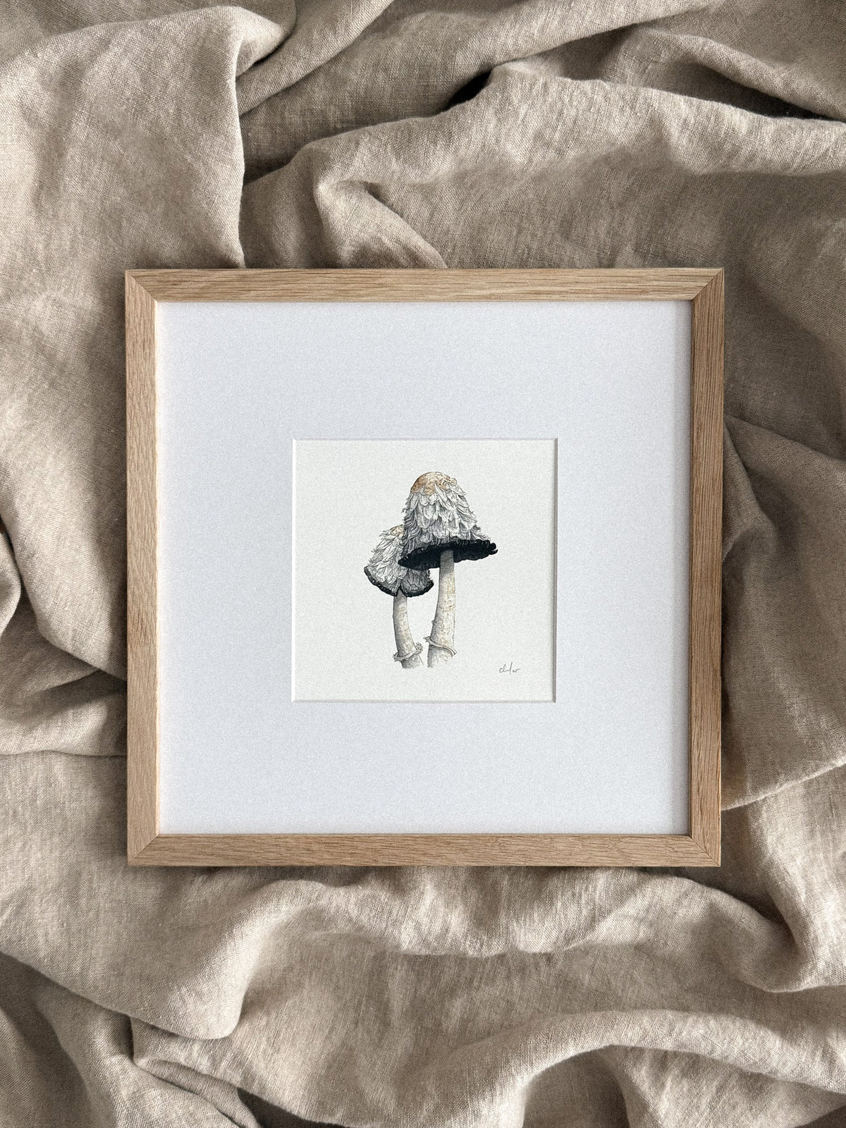 Shaggy Mane Mushrooms Mini Print 5x5