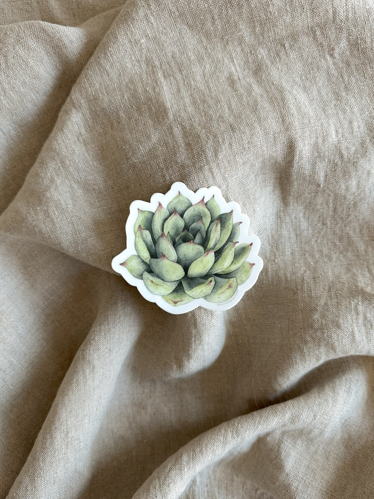 Succulent Sticker