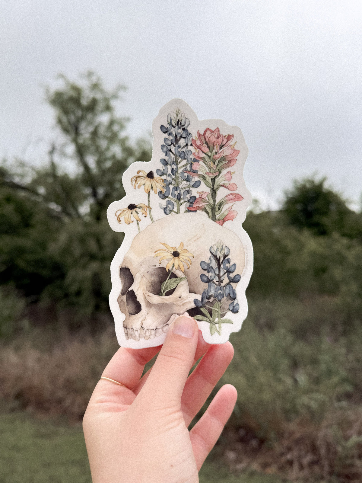 Texas Forever Sticker (Large)