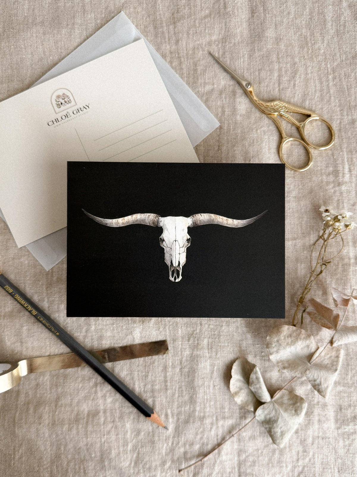 Texas Longhorn Skull Postcard