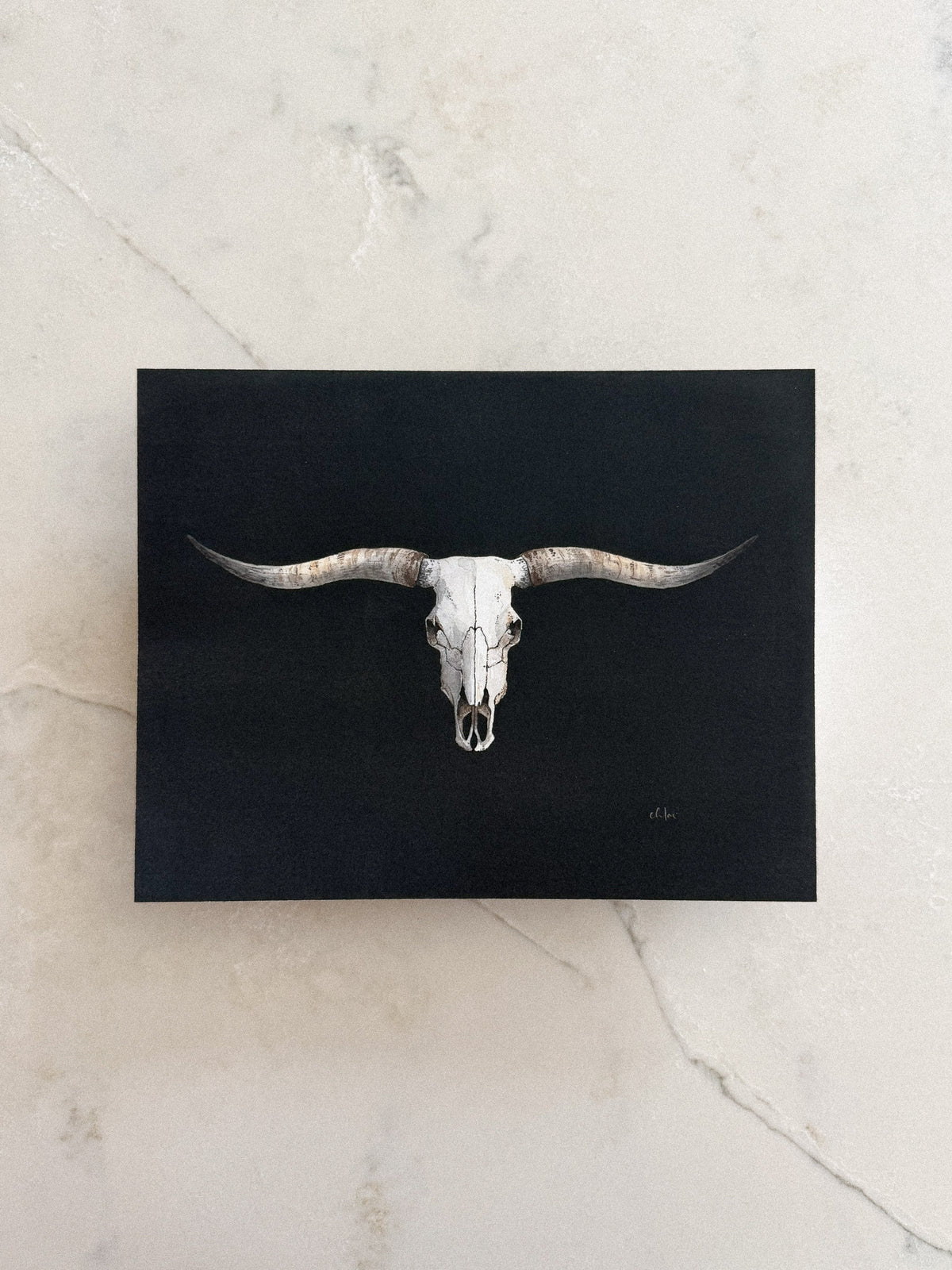 Texas Longhorn Skull Print 8x10