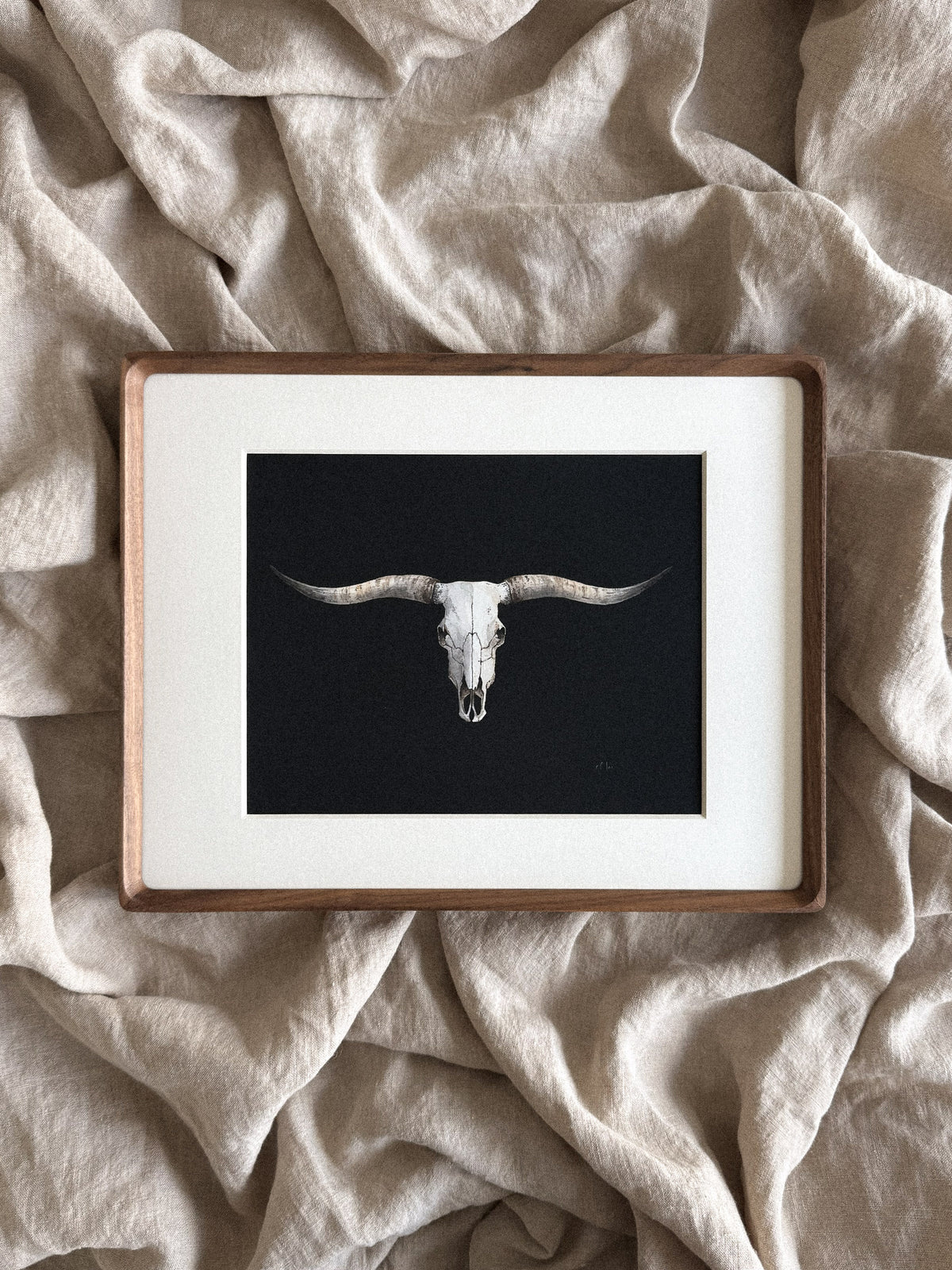 Texas Longhorn Skull Print 8x10