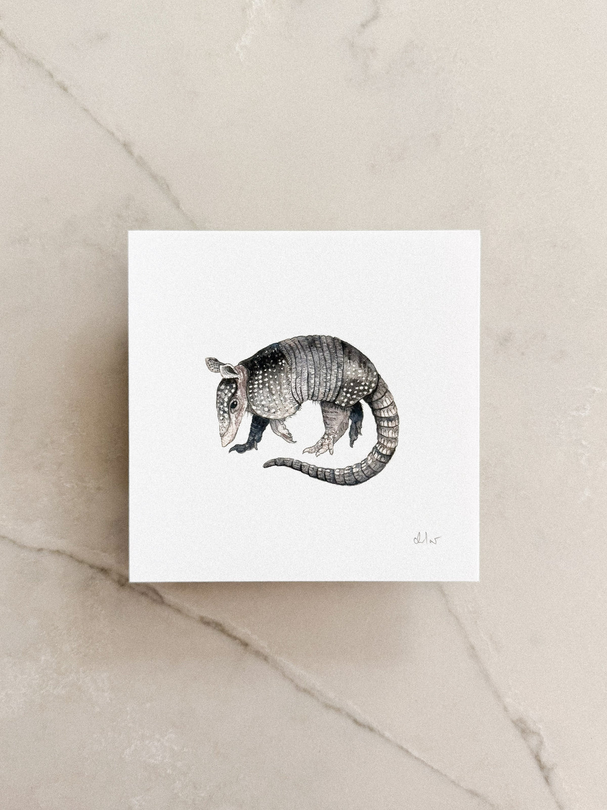 Armadillo Mini Print 5x5