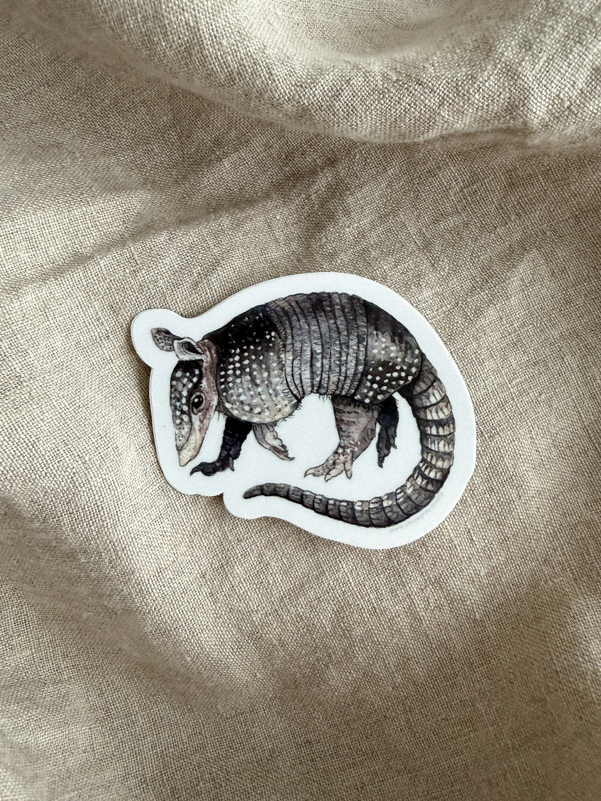 Armadillo Sticker