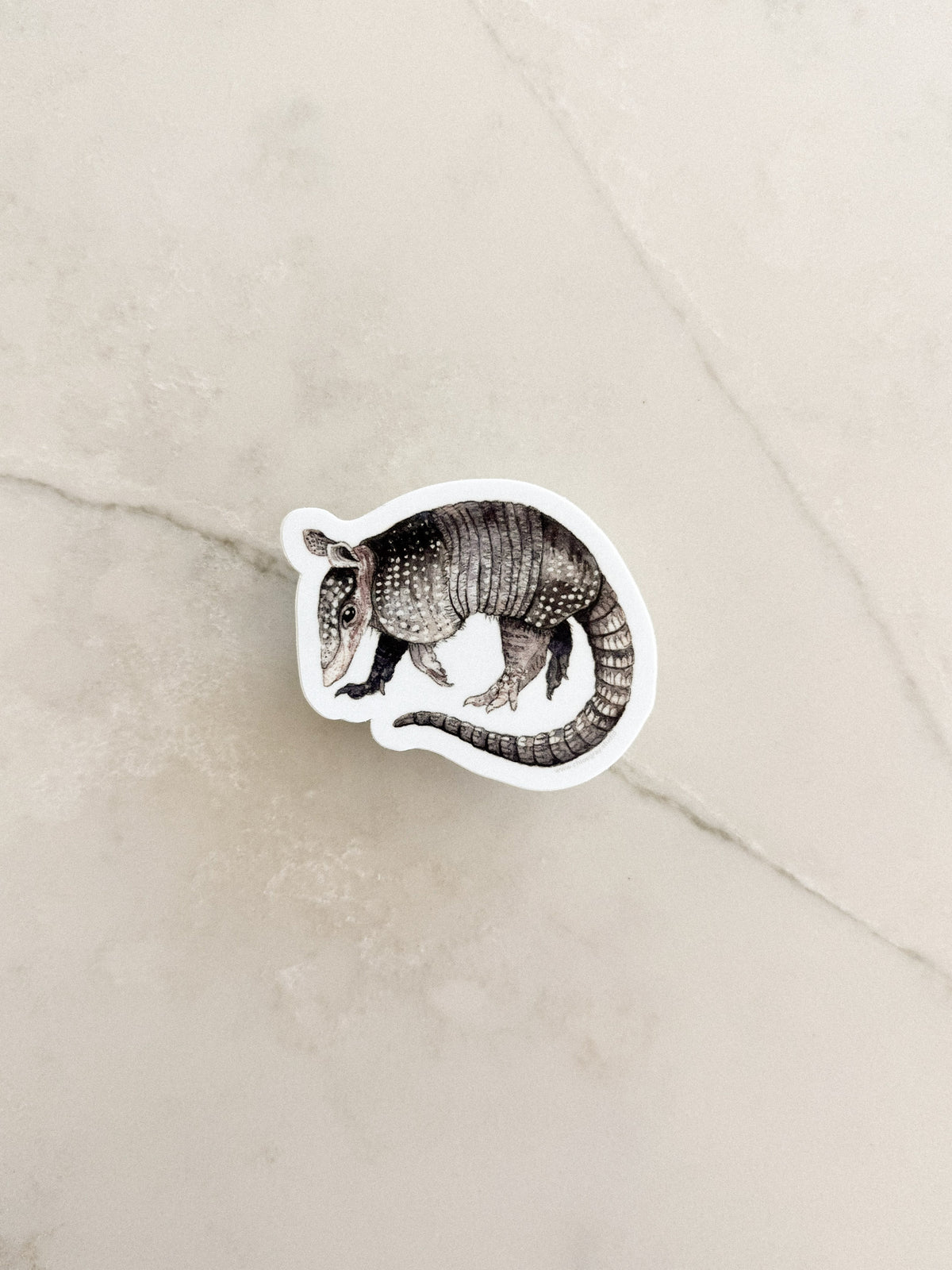 Armadillo Sticker