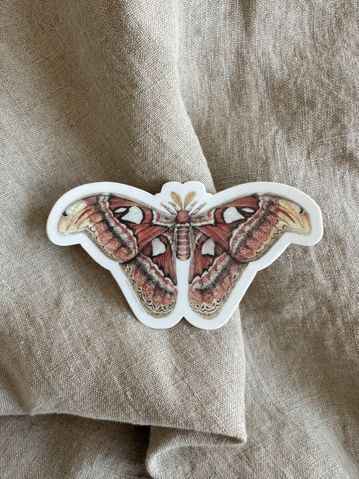 Atlas Moth Sticker