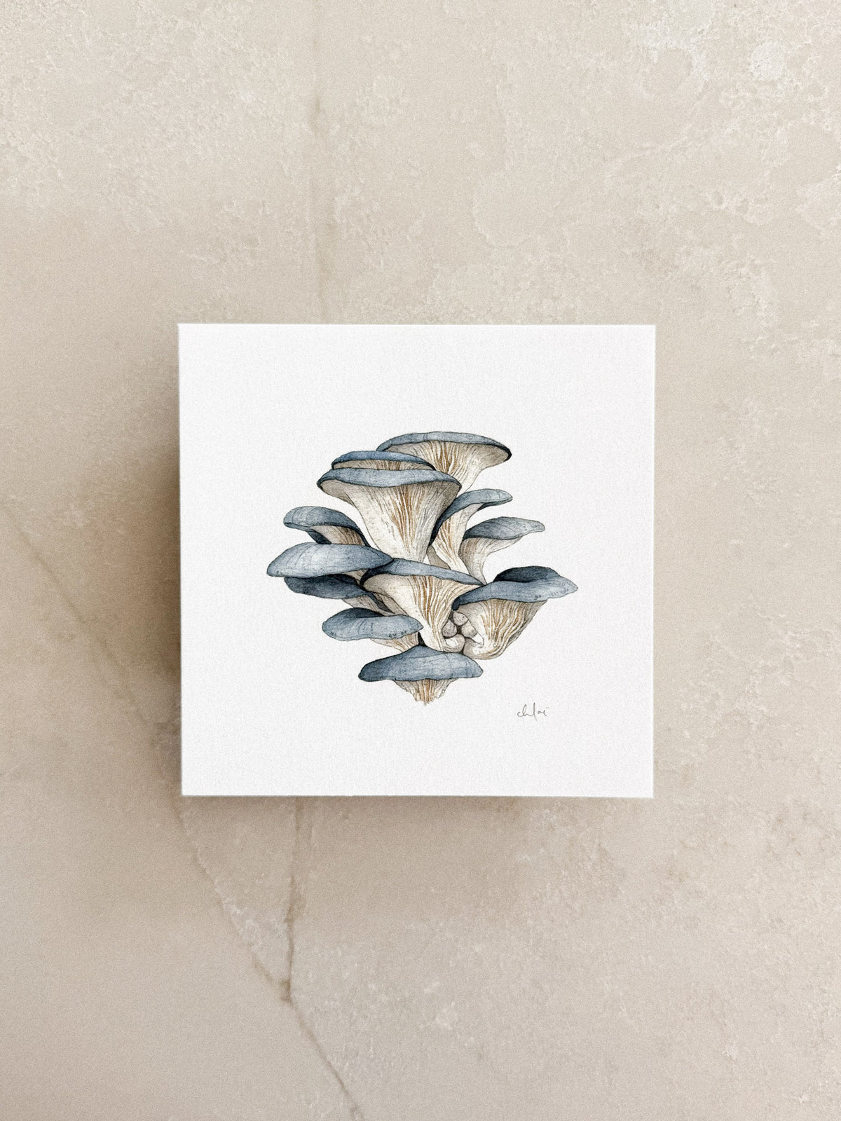 Blue Oyster Mushrooms Mini Print 5x5