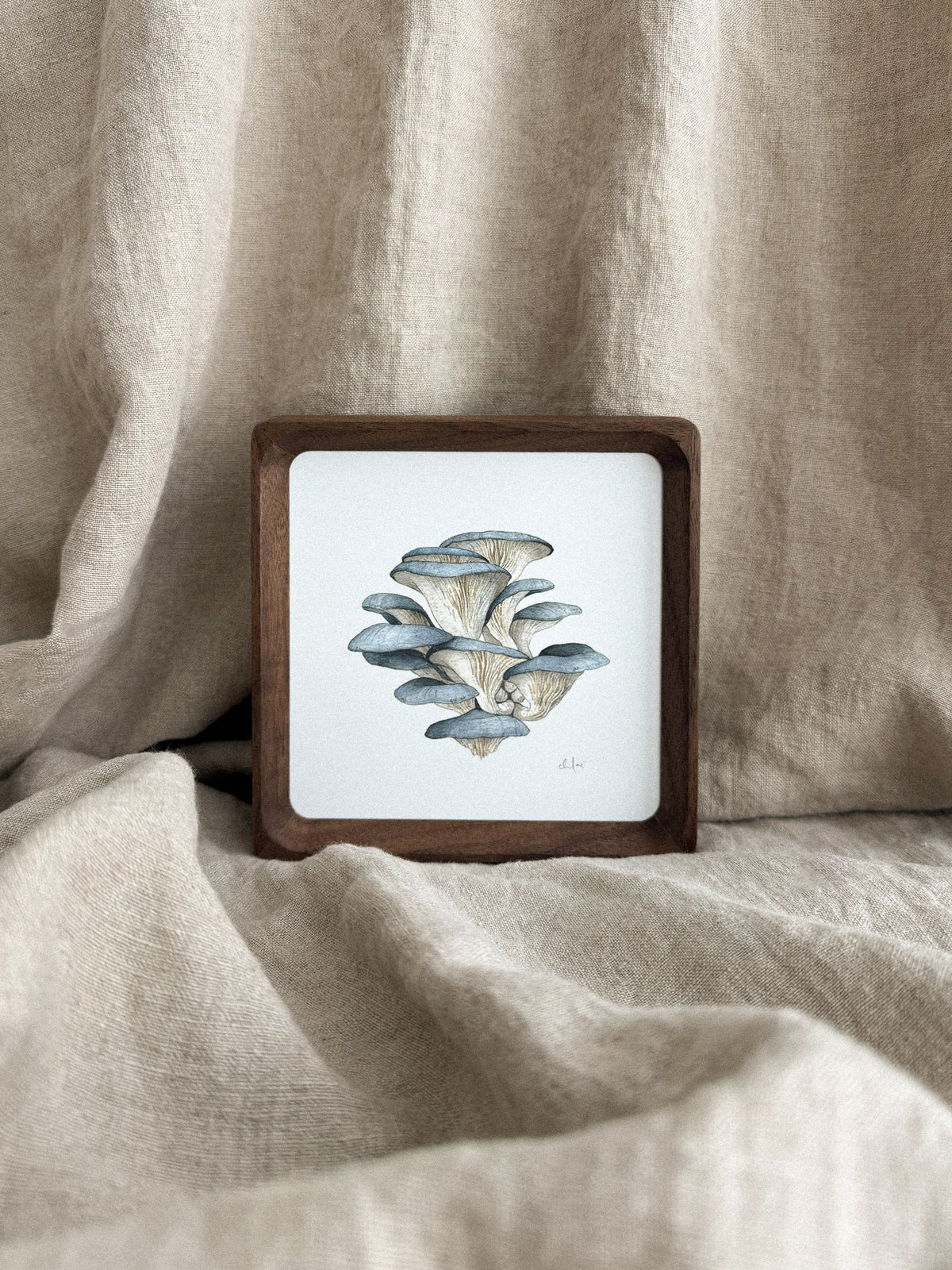 Blue Oyster Mushrooms Mini Print 5x5