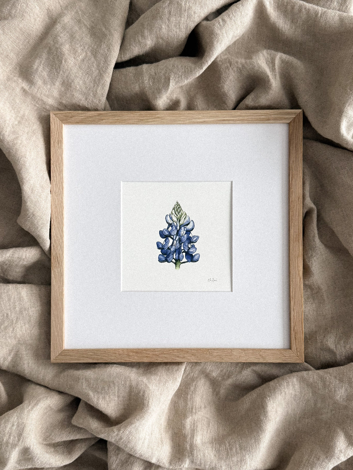 Bluebonnet Mini Print 5x5