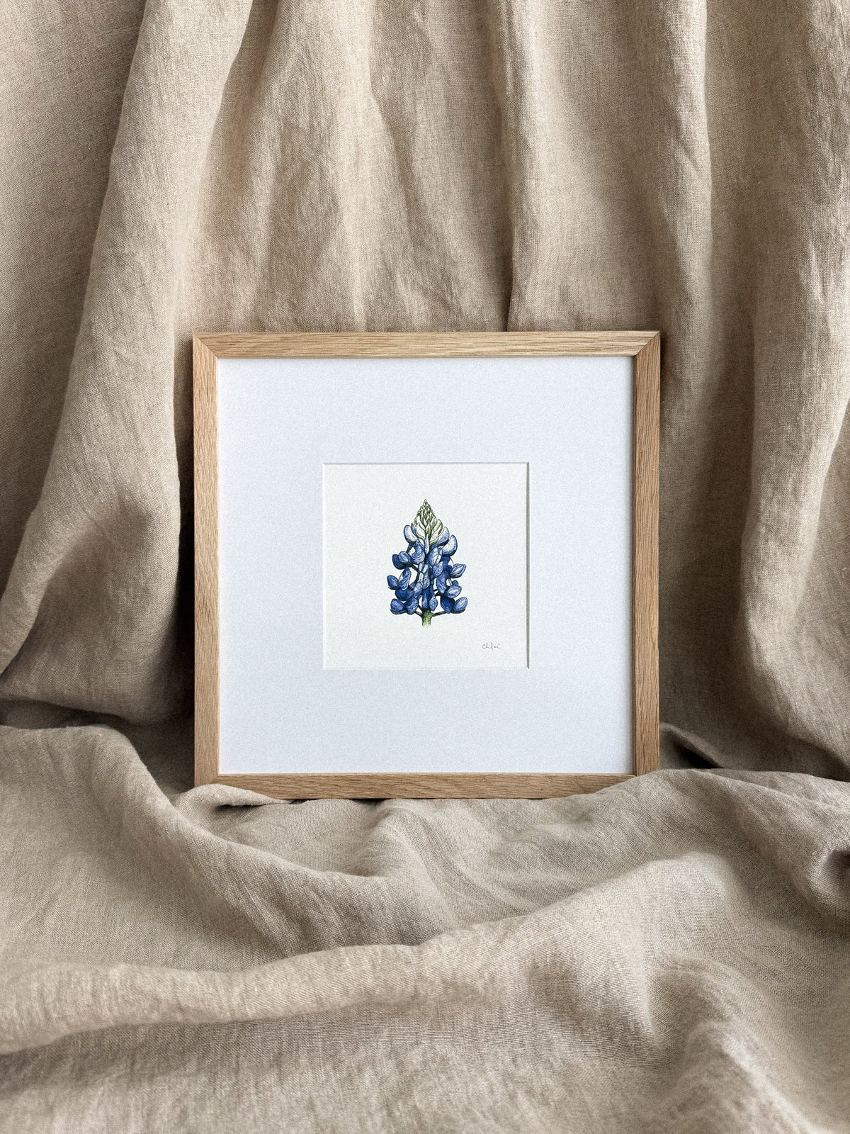Bluebonnet Mini Print 5x5
