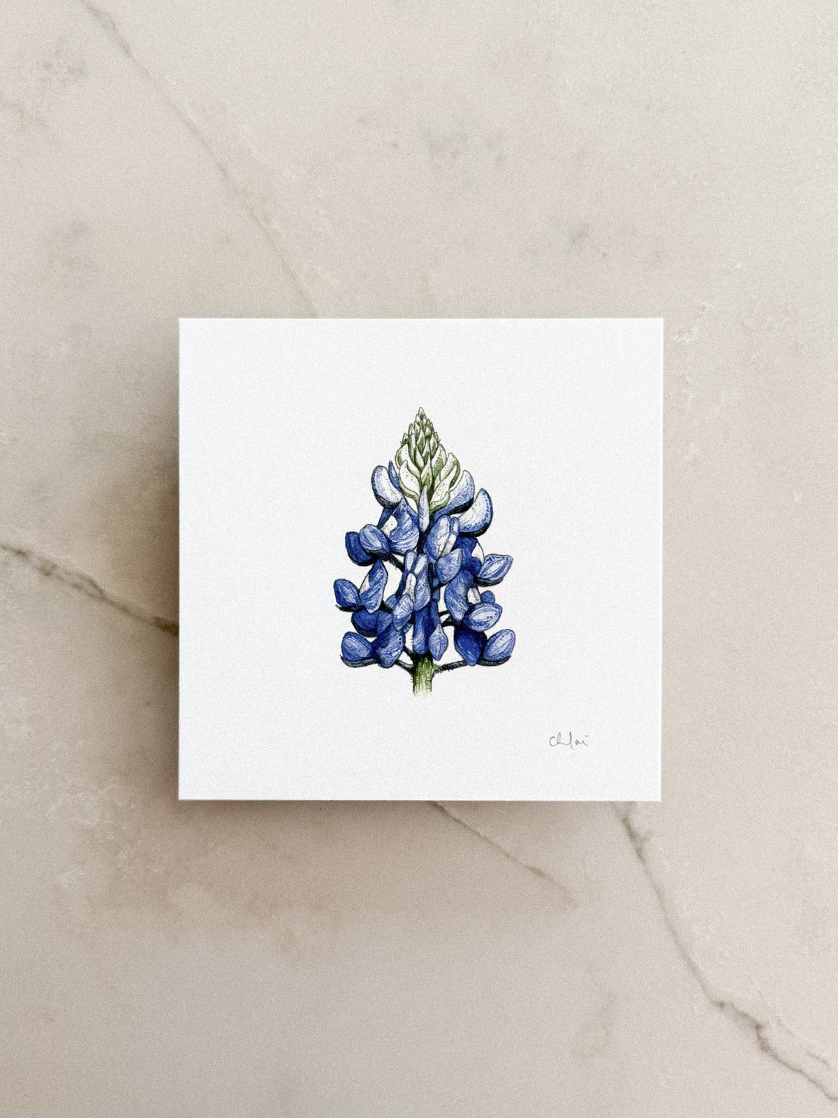 Bluebonnet Mini Print 5x5