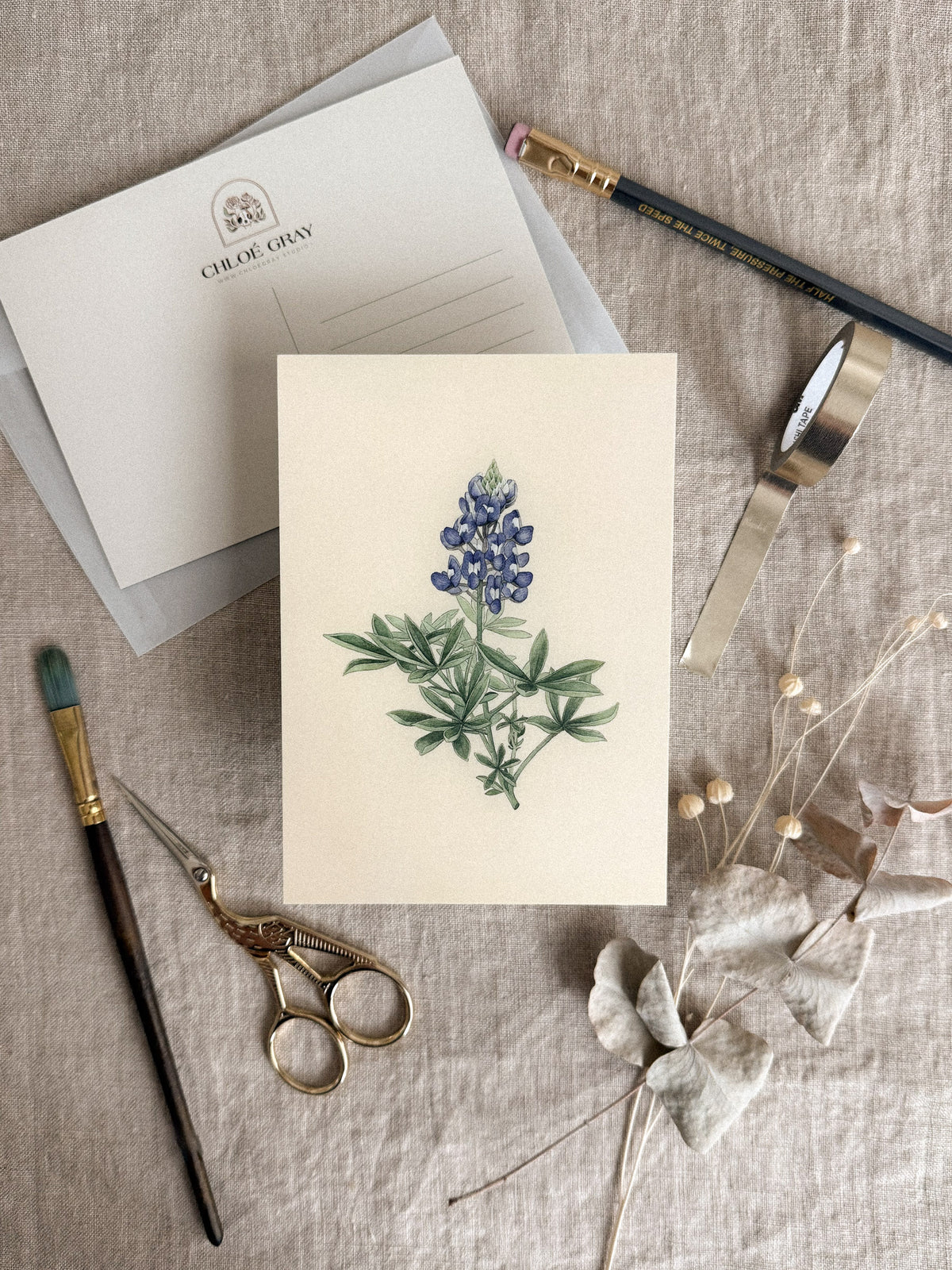 Bluebonnet Postcard