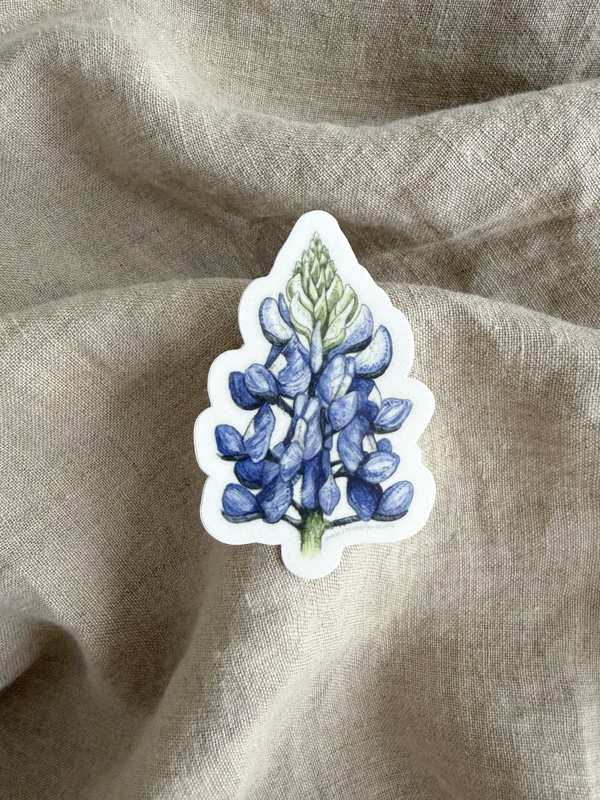 Bluebonnet Sticker