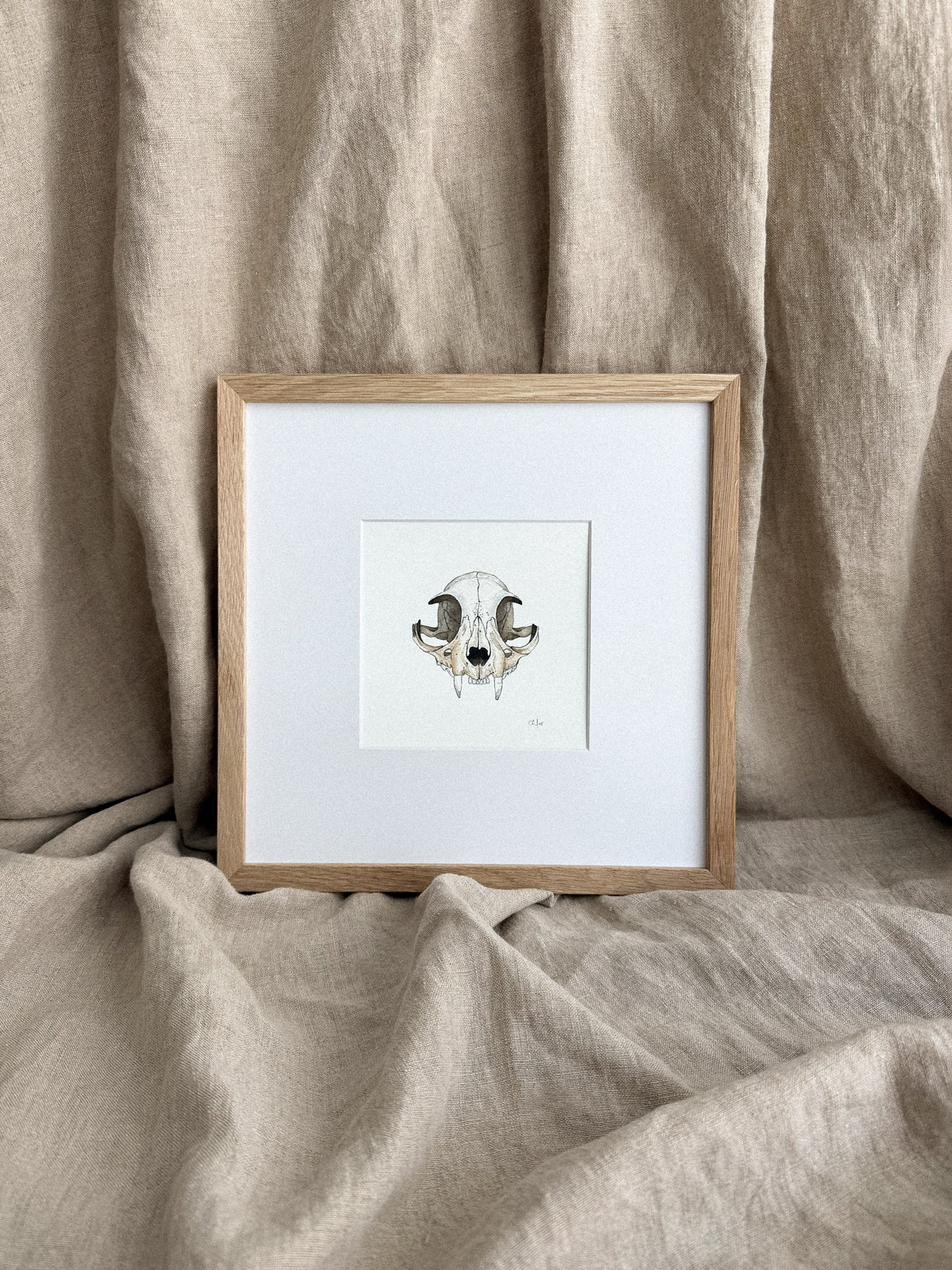 Cat Skull Mini Print 5x5