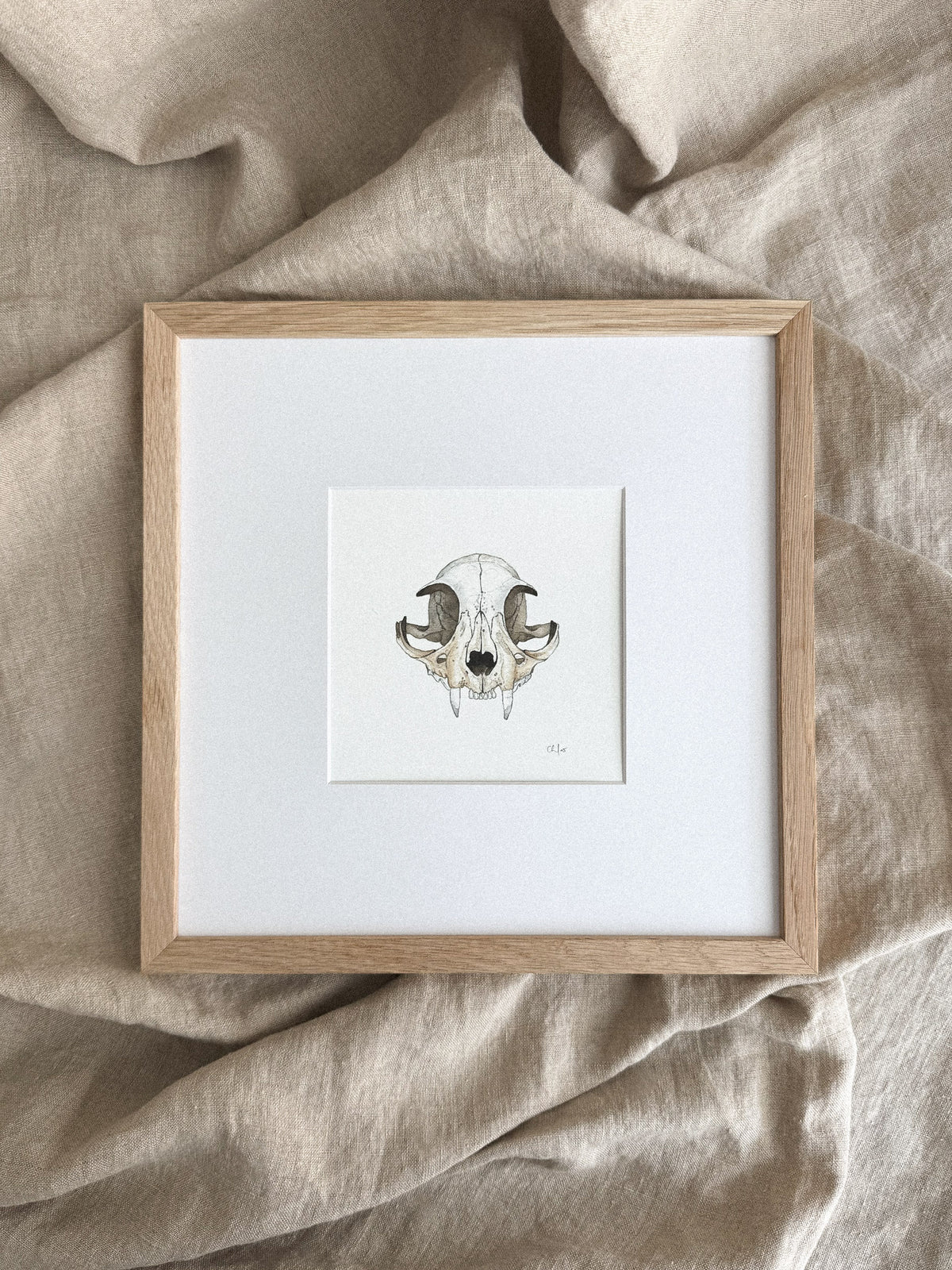 Cat Skull Mini Print 5x5