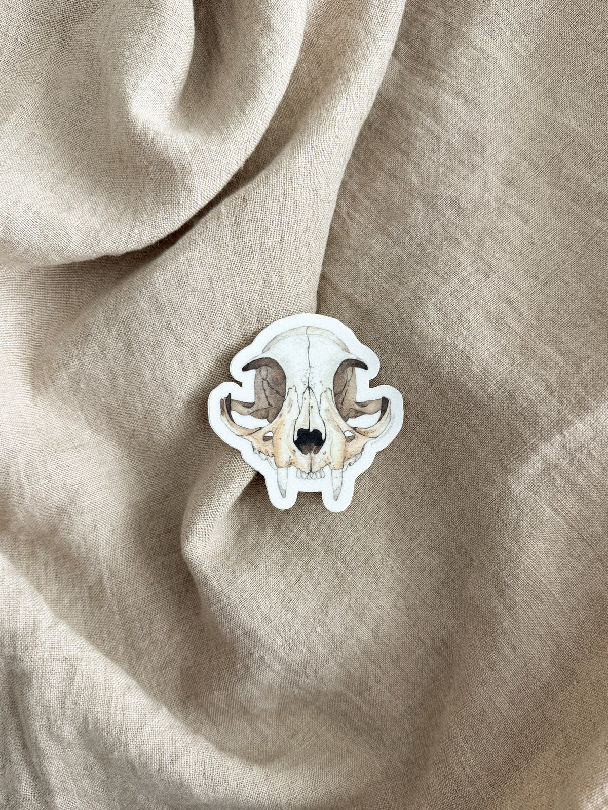 Cat Skull Sticker